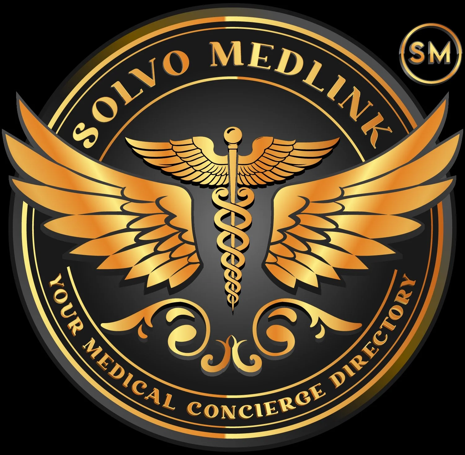 Solvo Medlink LLC