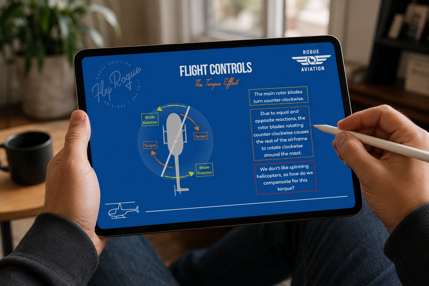 The training app showing a private pilot lesson module