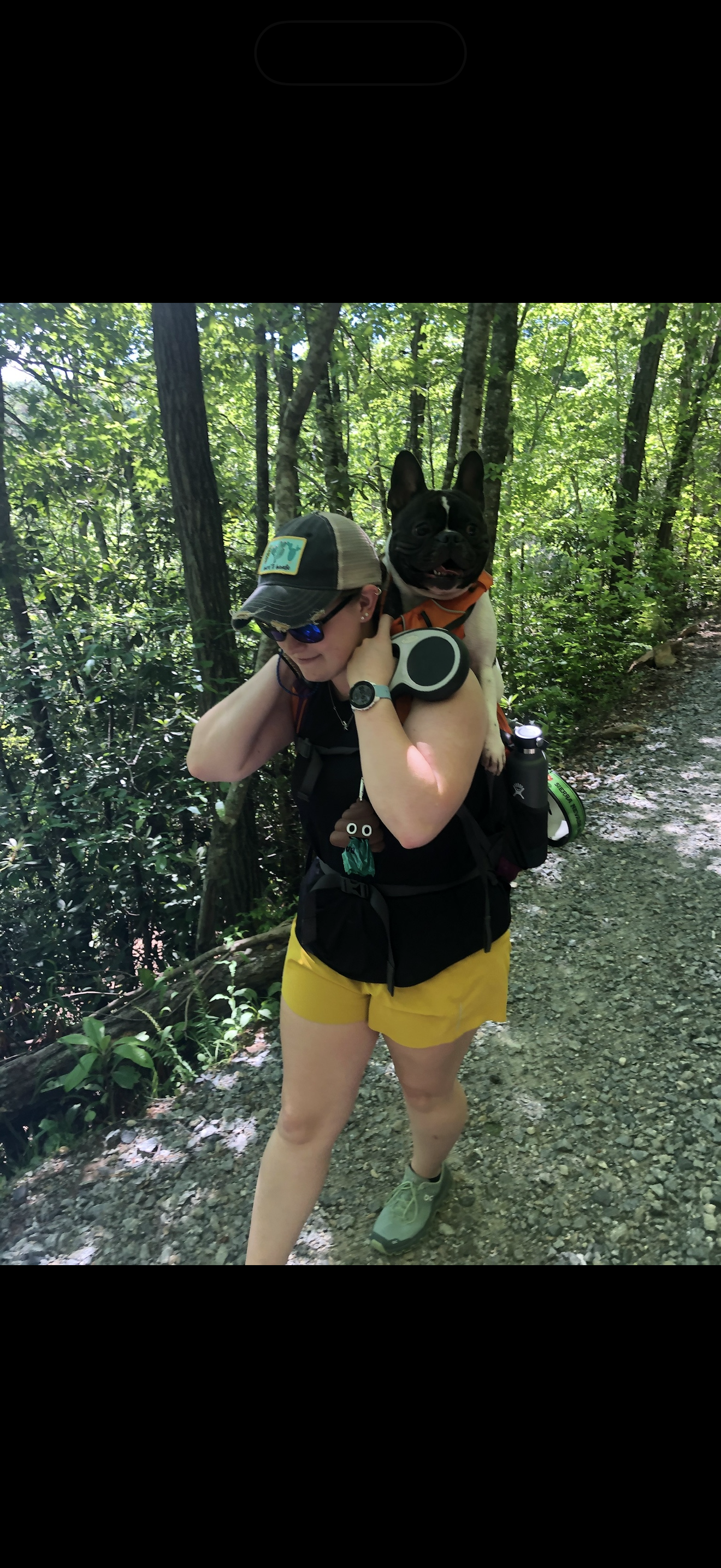 Virtual Personal Training