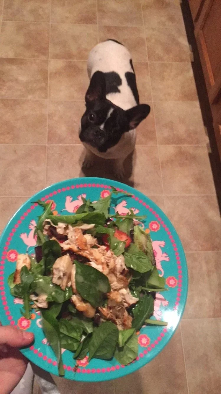 are you getting enough protein?!  