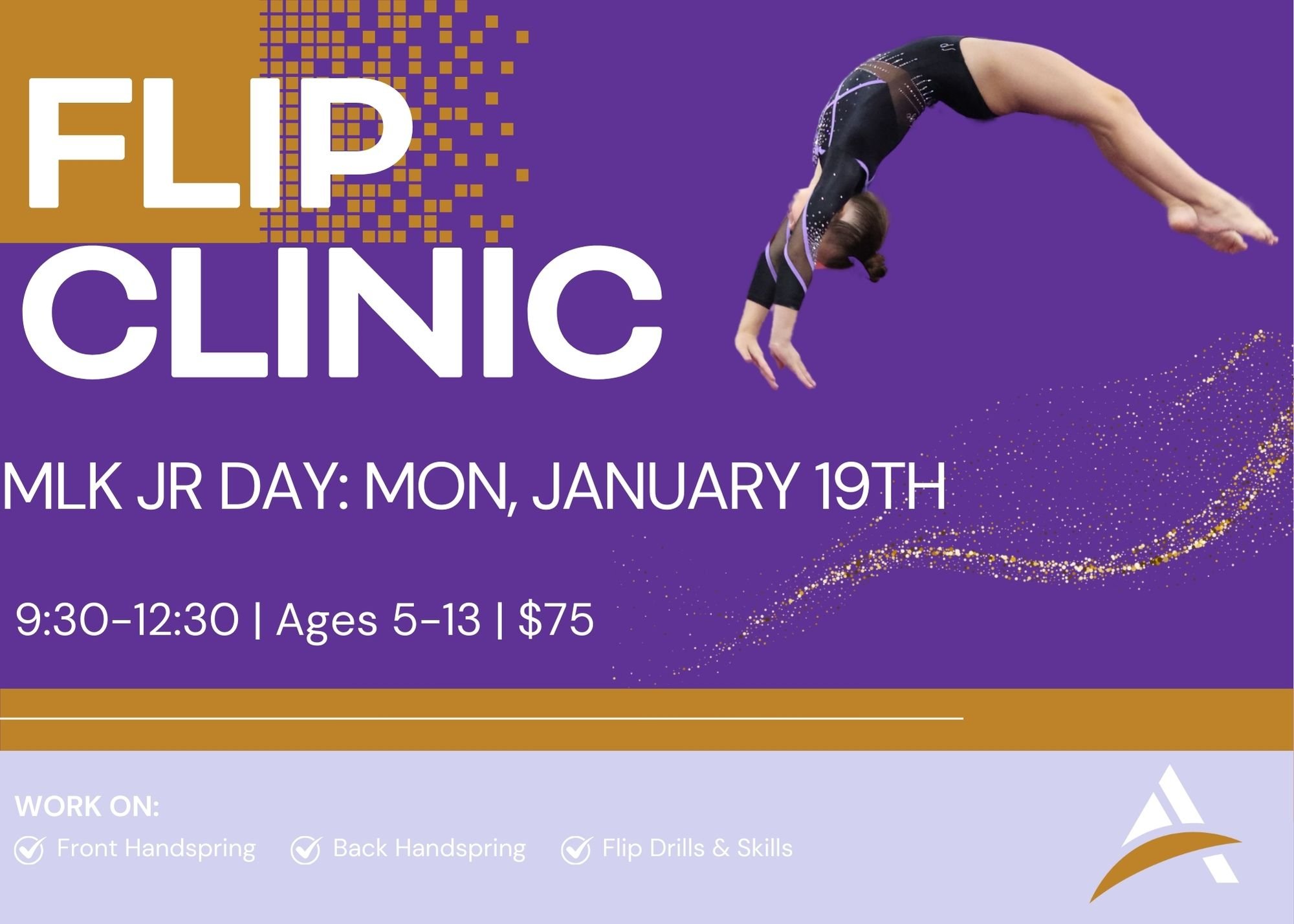 Flip Clinic