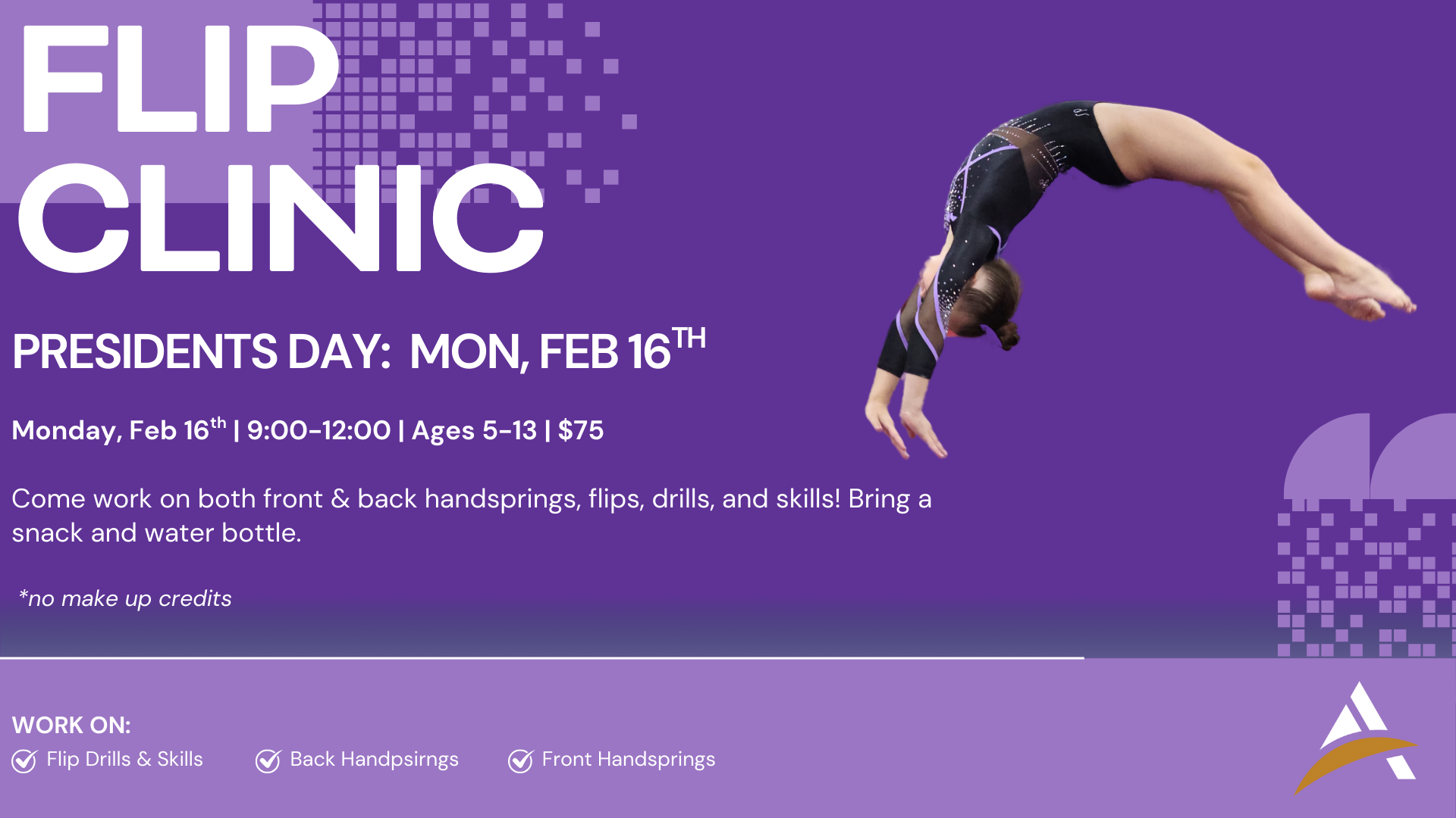 President's Day Flip Clinic