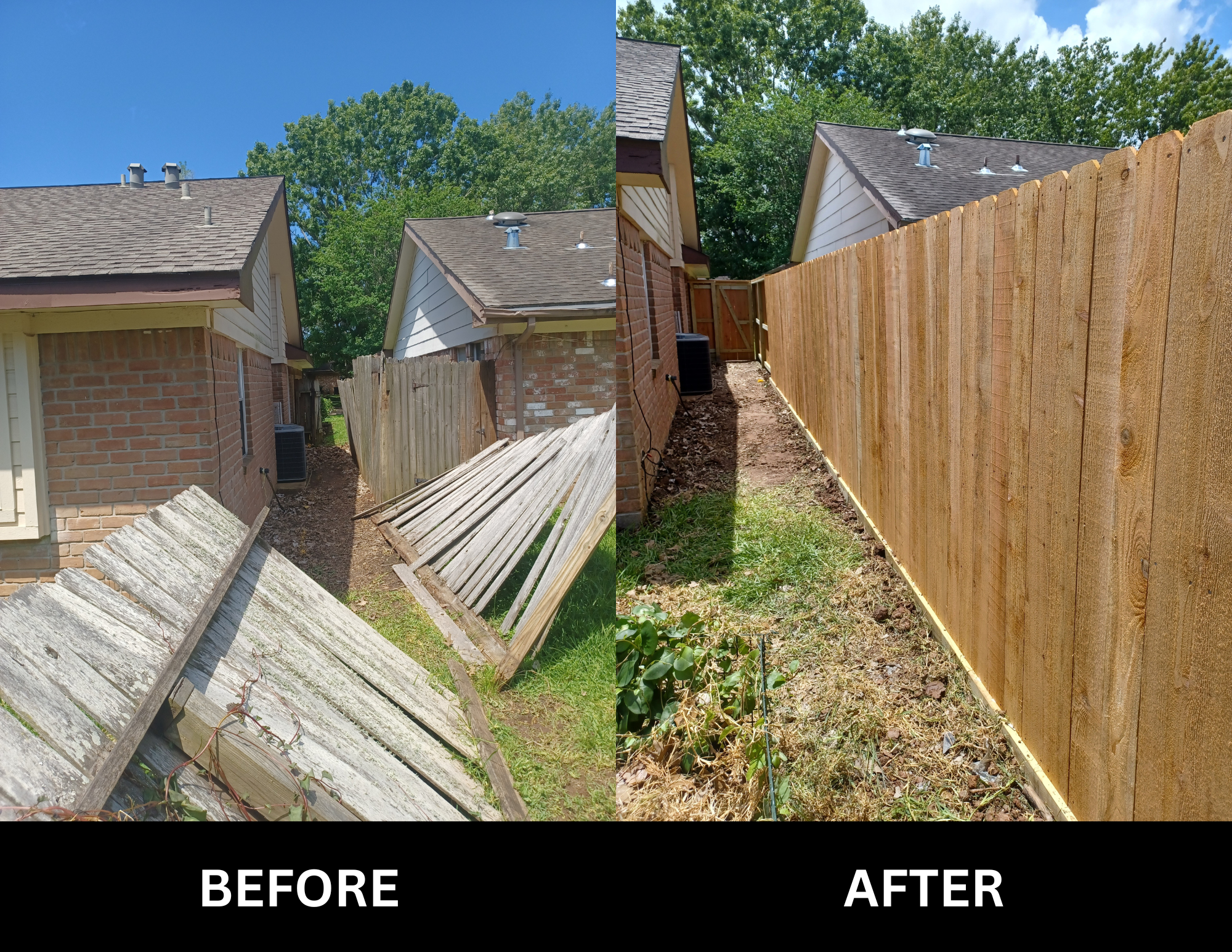 Before & After Fencing  (6).png
