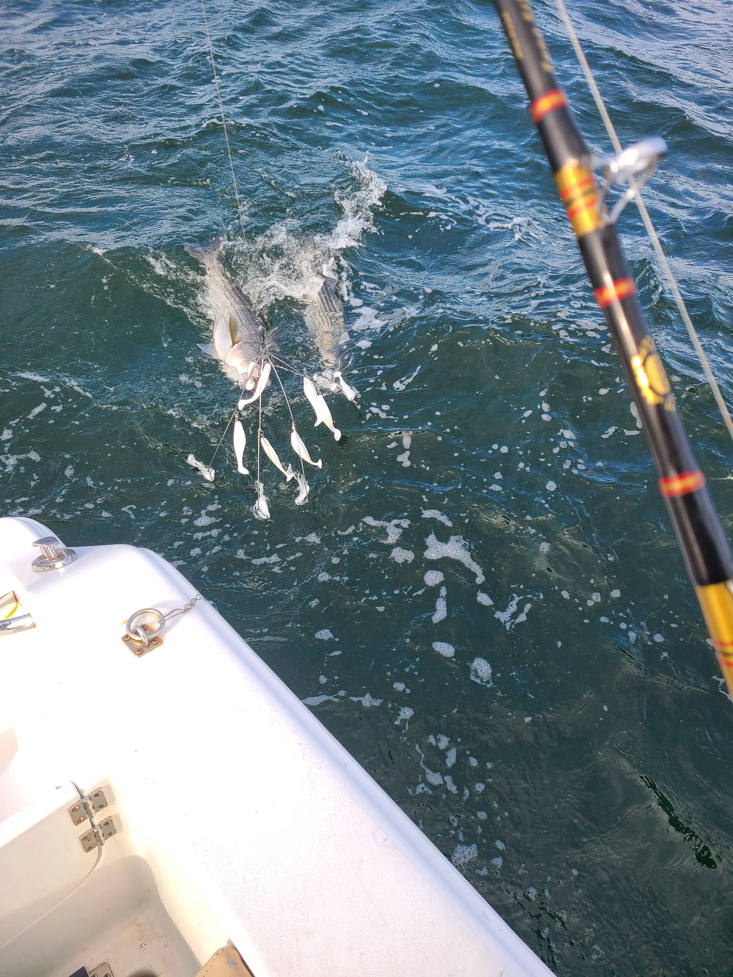A fish caught on a fishing line being pulled out of the water near a boat, with a fishing rod in the foreground.