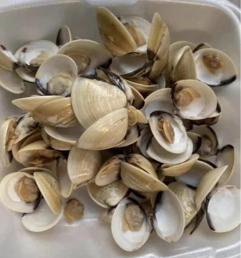 Clams (Frozen)