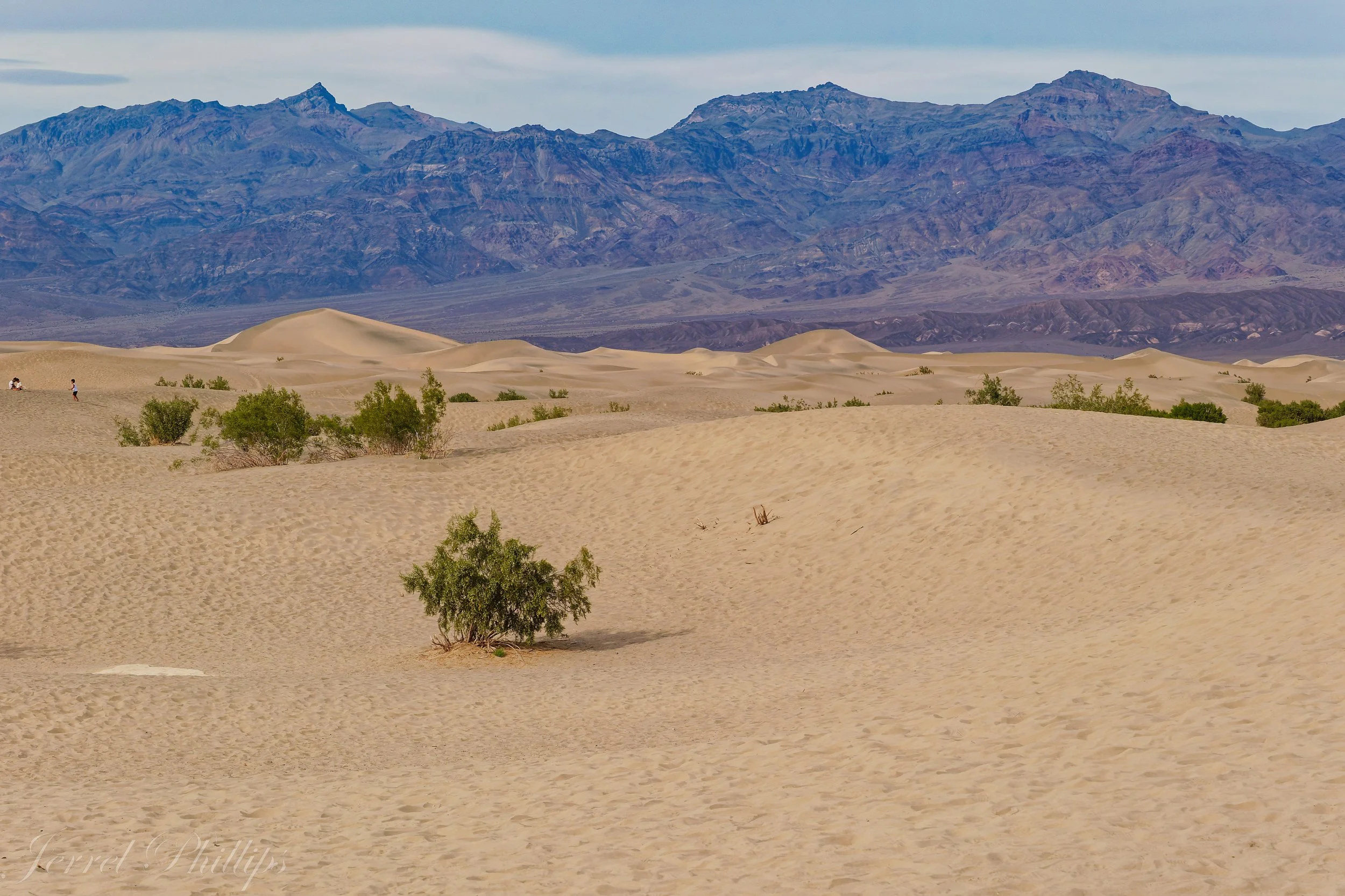 Mesquite Flat Sand Dunes--Death Valley National Park-2