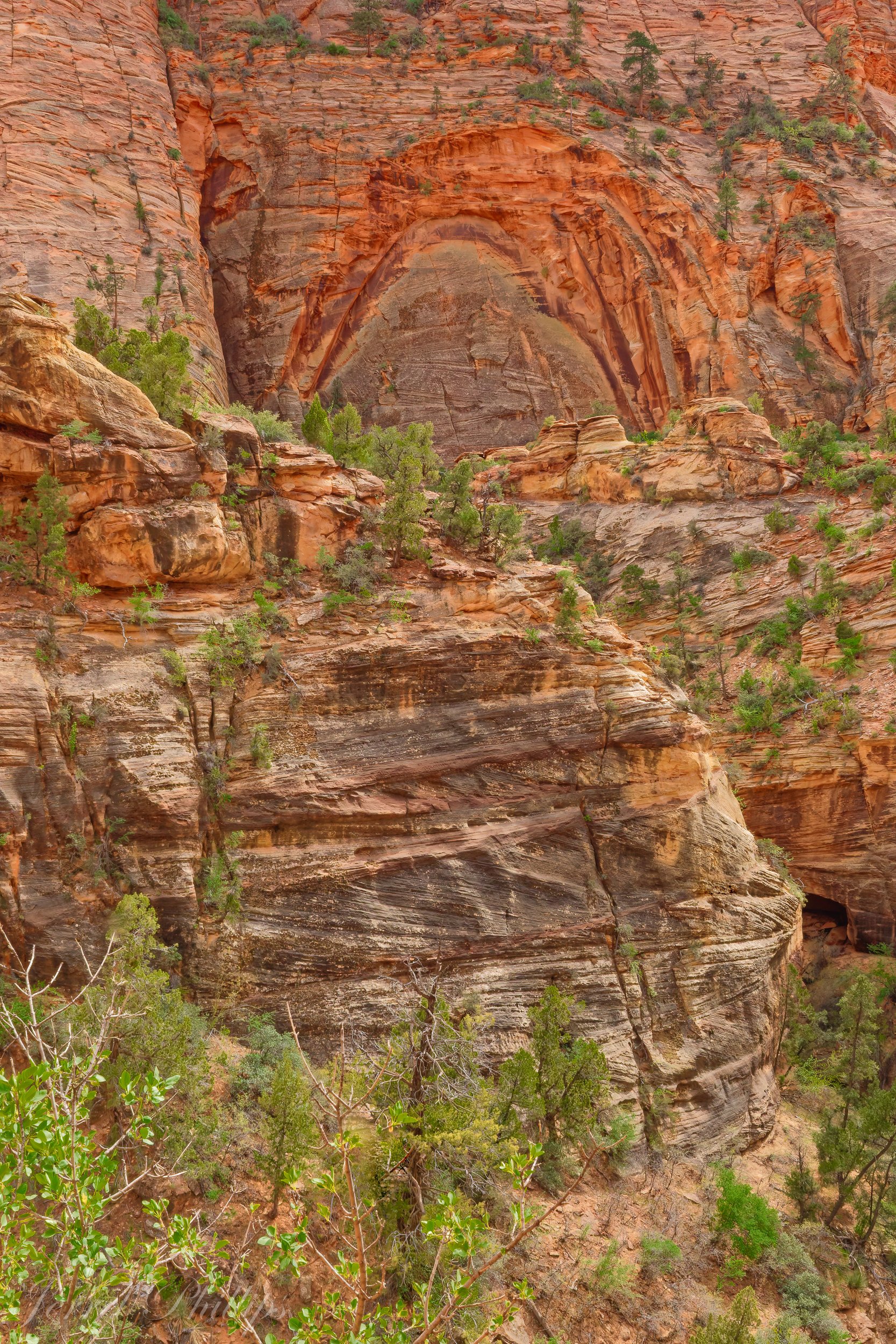 From the Canyon Overlook Trail-6