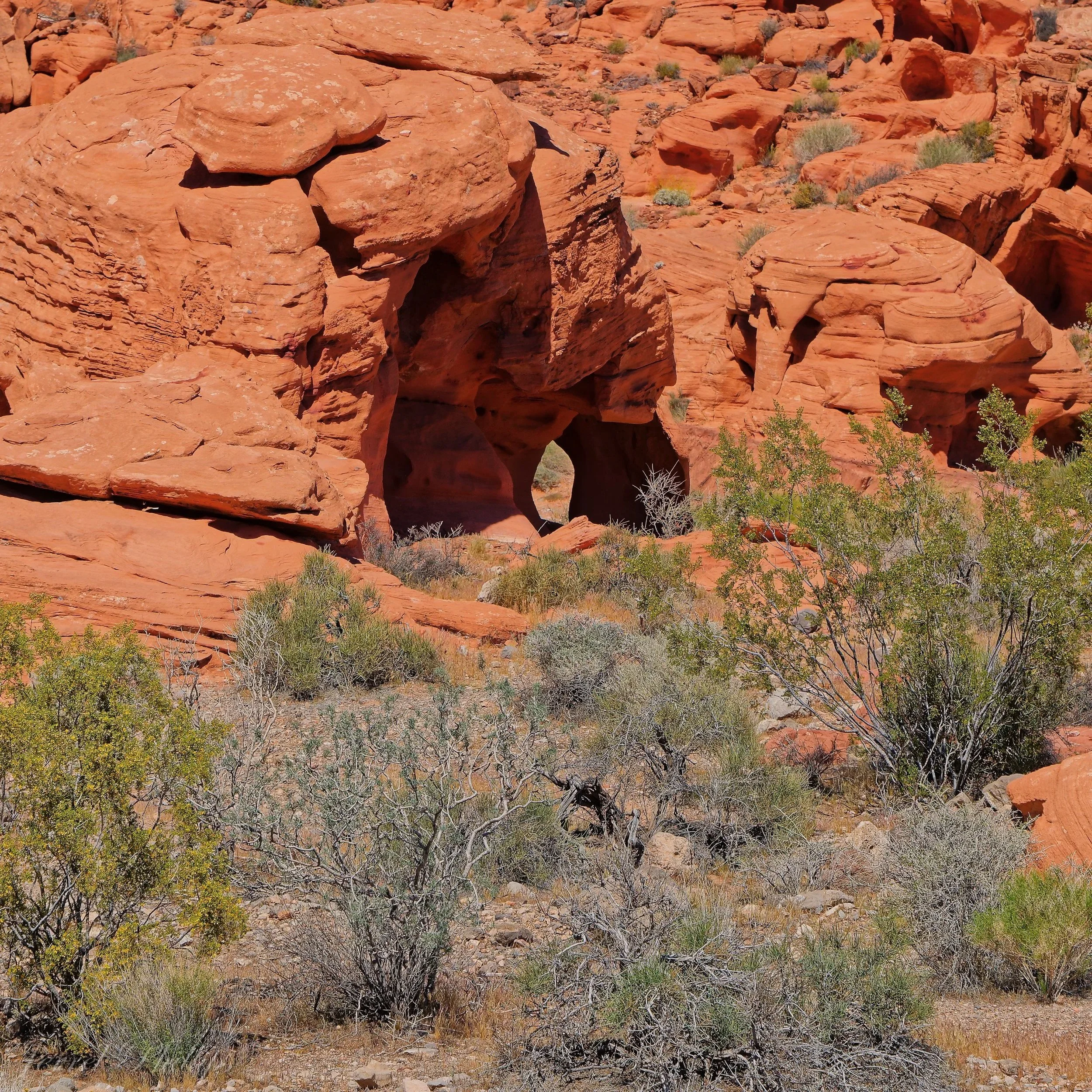 The Valley of Fire-2