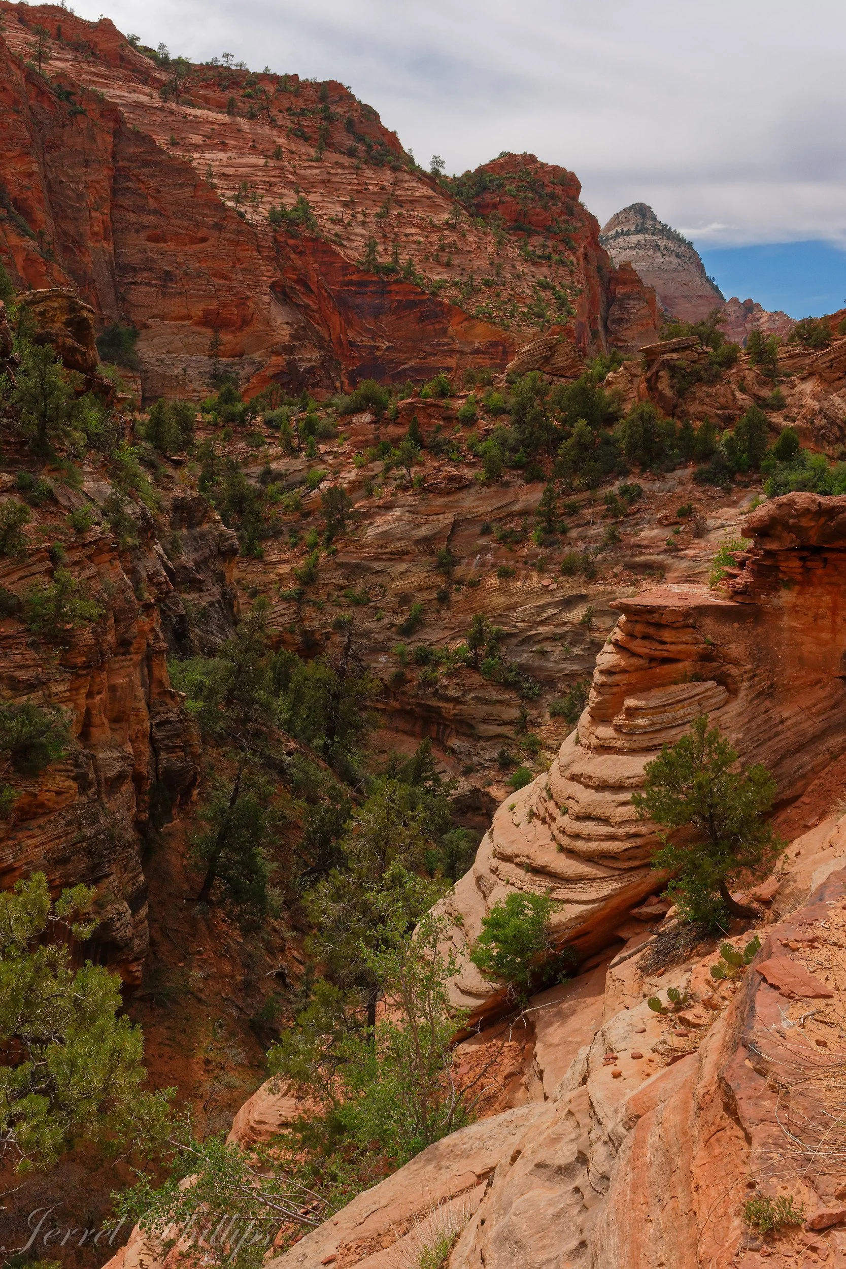 From the Canyon Overlook Trail-1