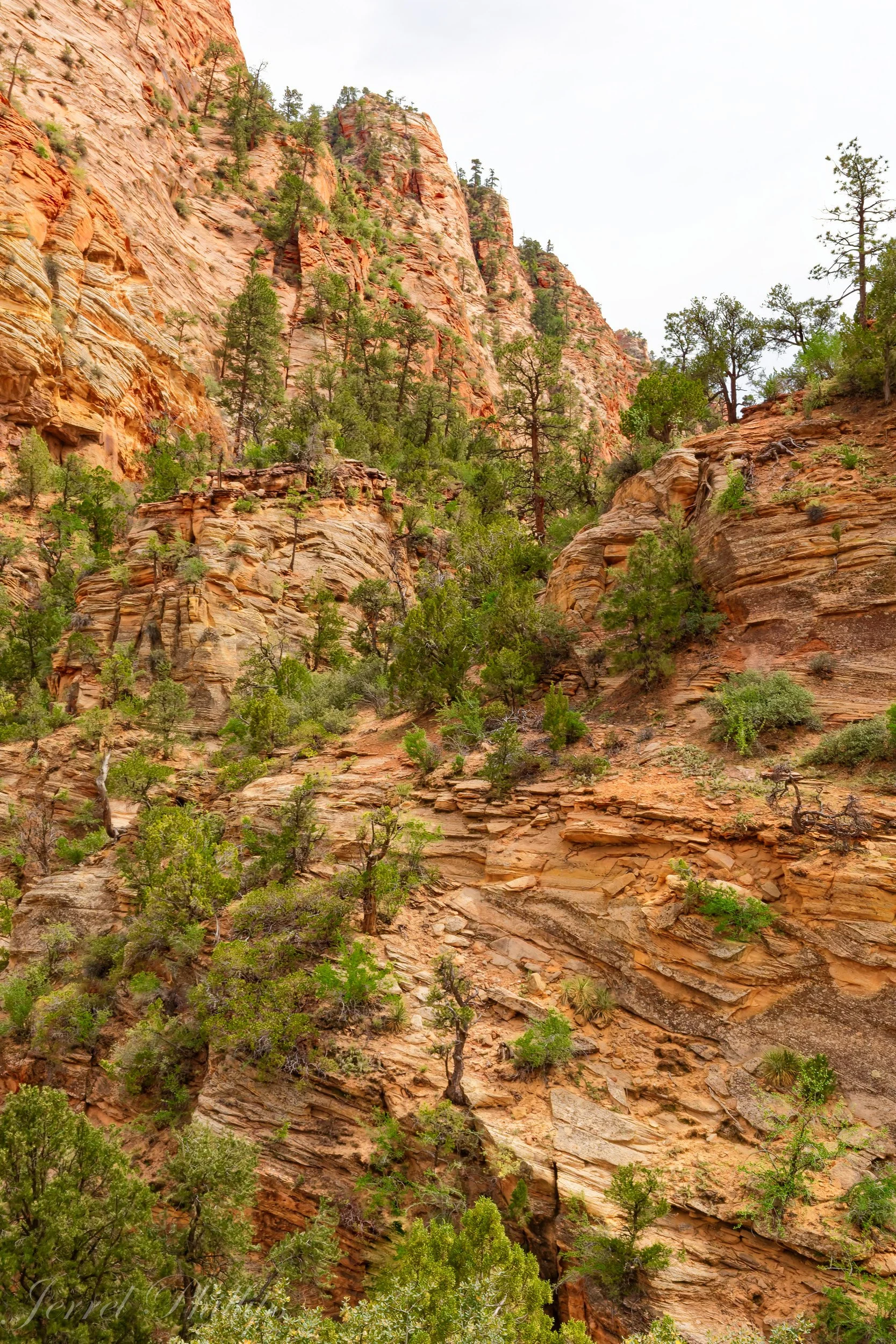 Zion National Park-3