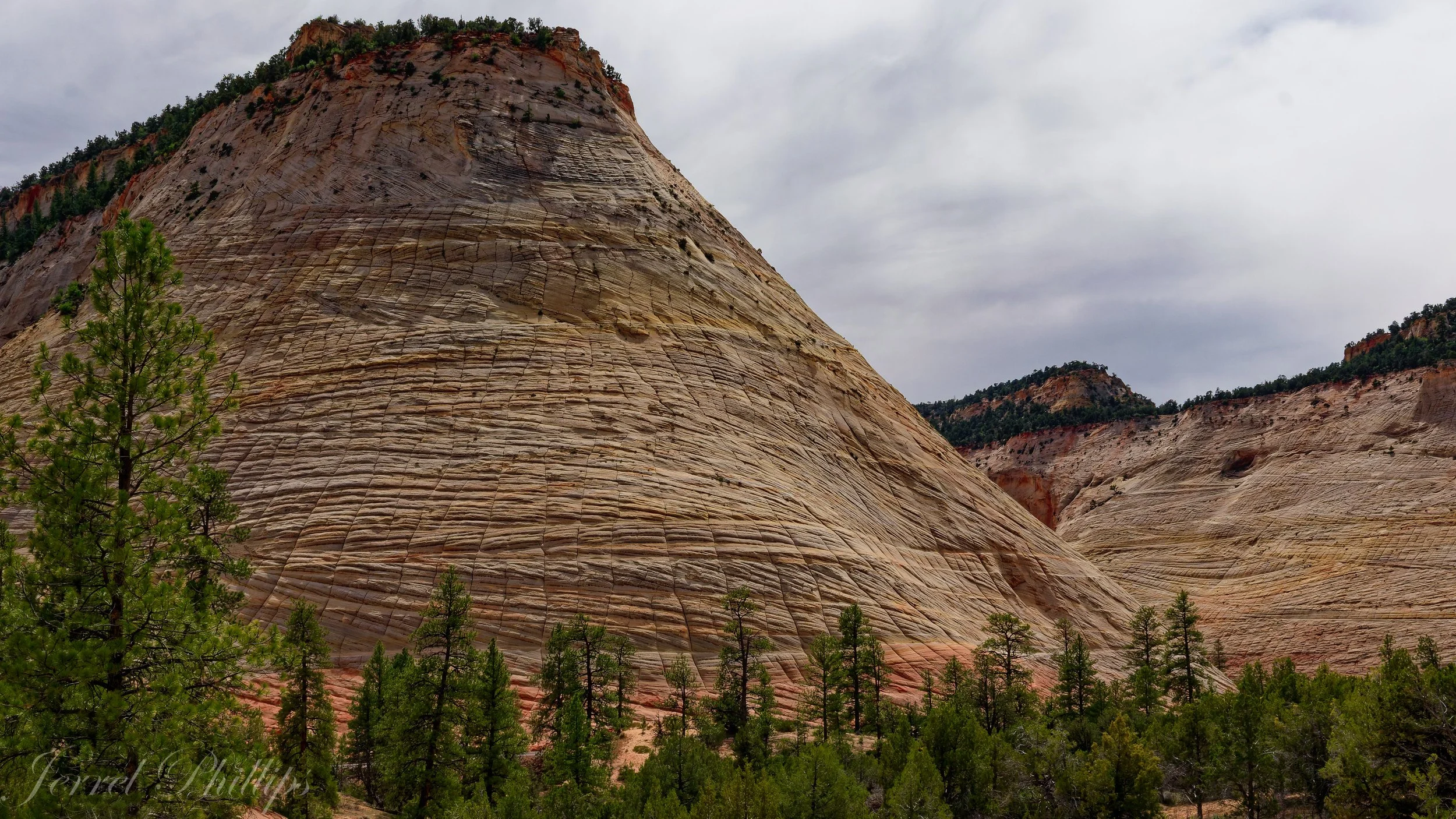 Checkerboard Mesa--Zion National Park