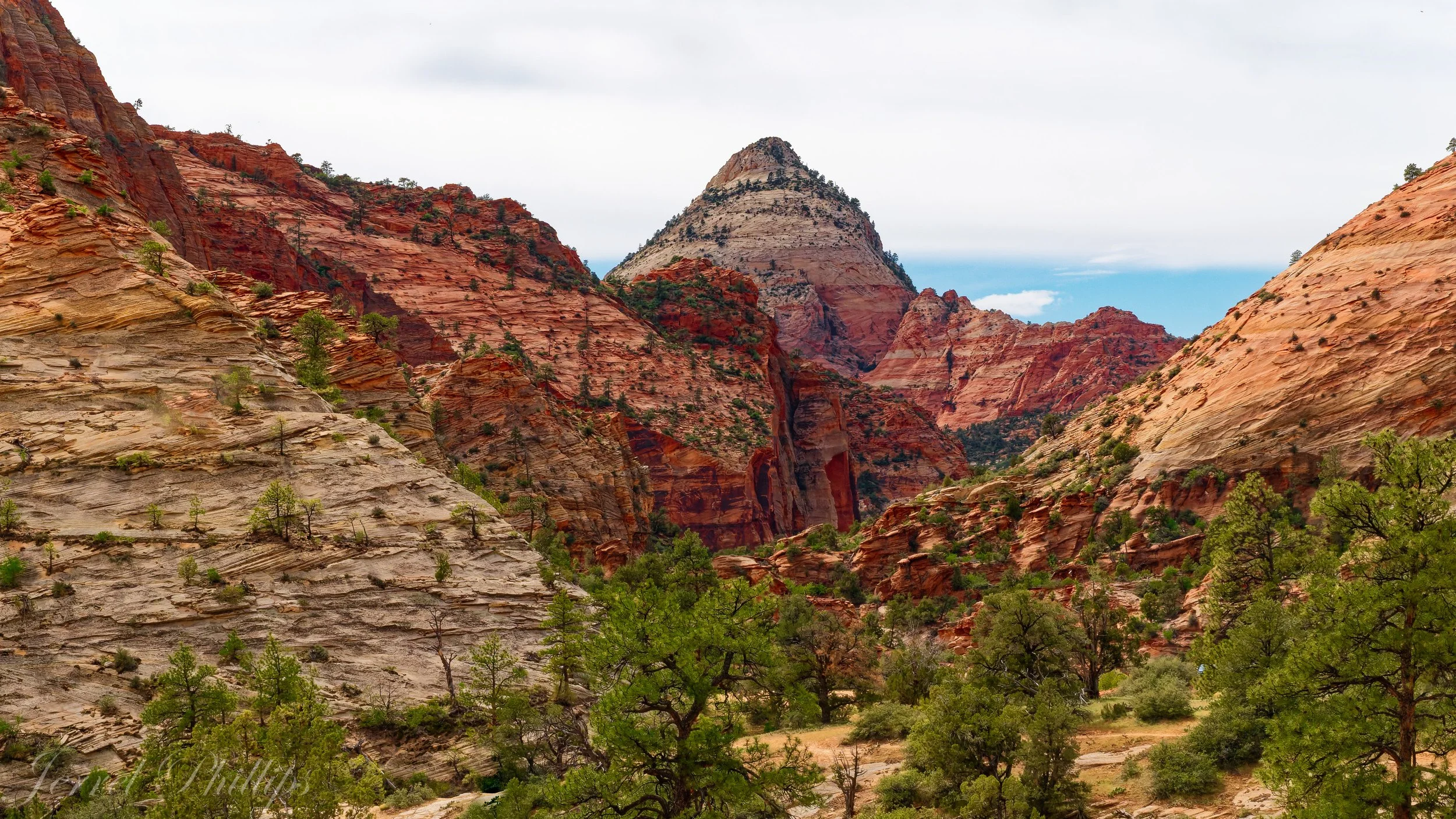 The Watchman--Zion National Park