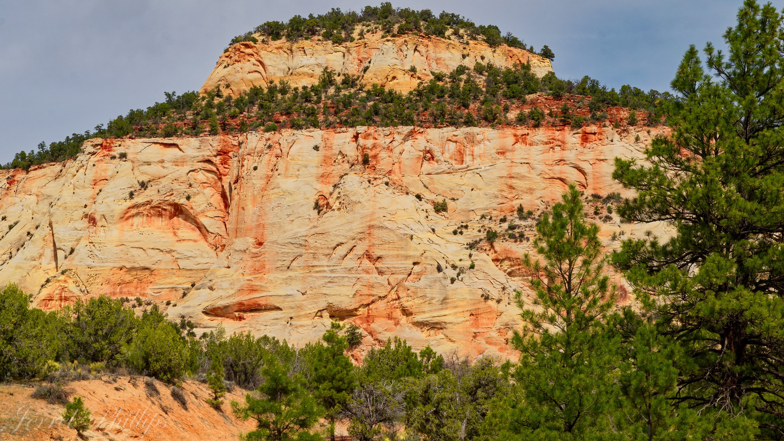Zion National Park-1