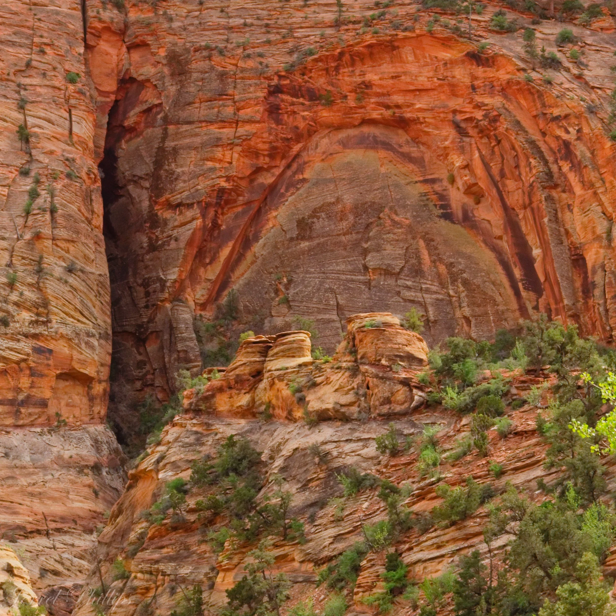 From the Canyon Overlook Trail-7