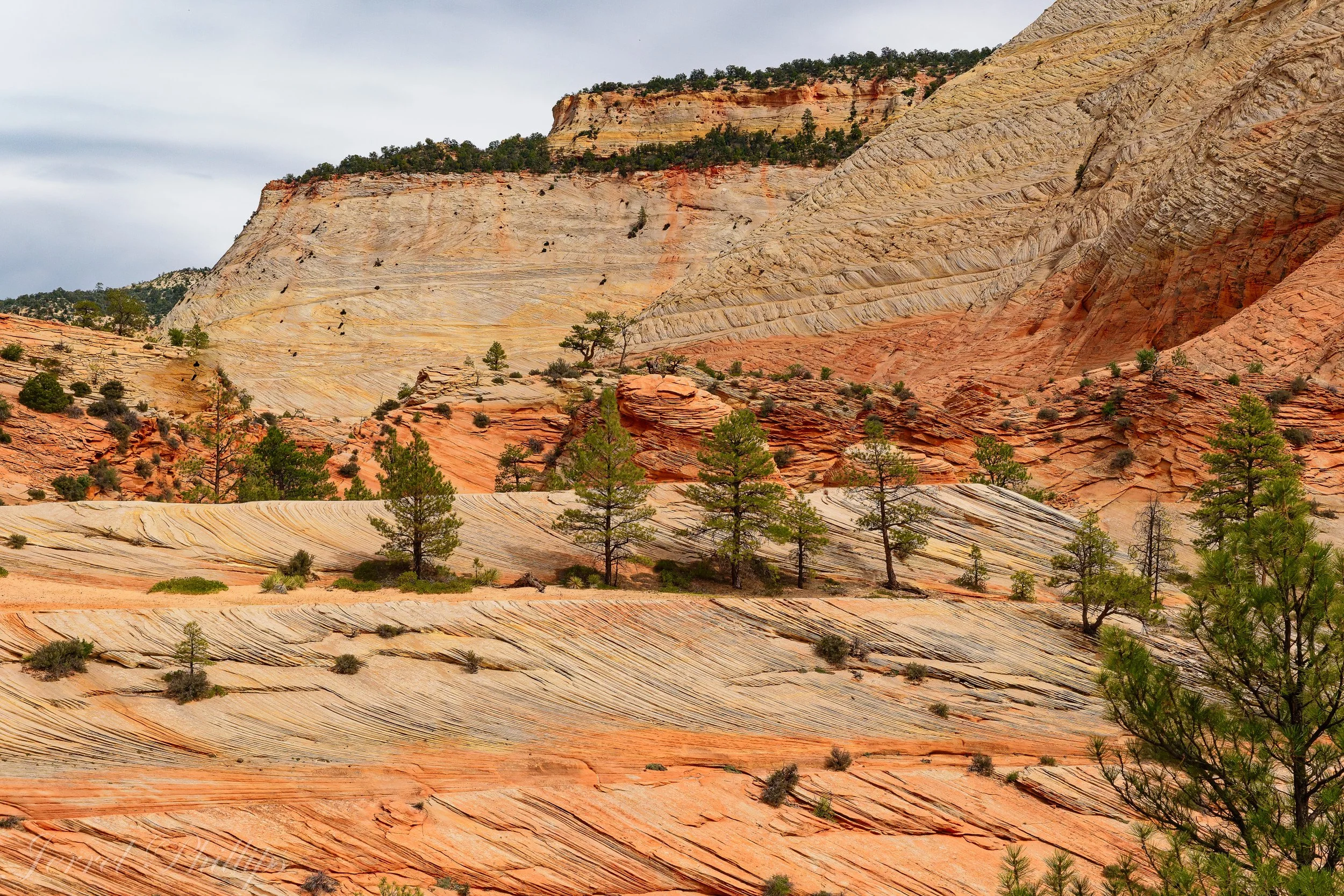 Zion National Park-2