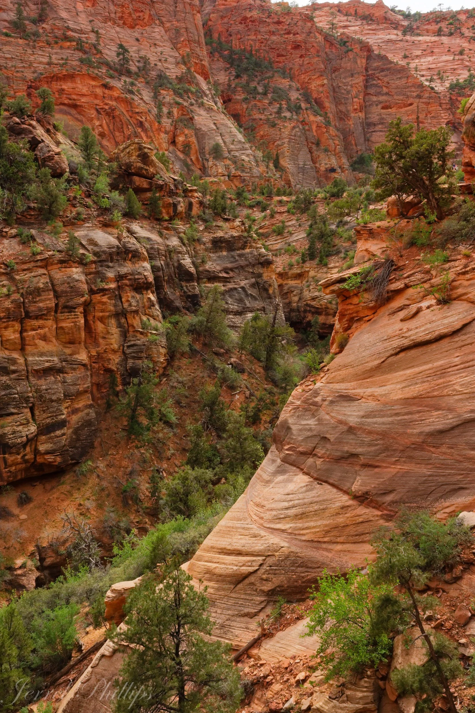 From the Canyon Overlook Trail-4
