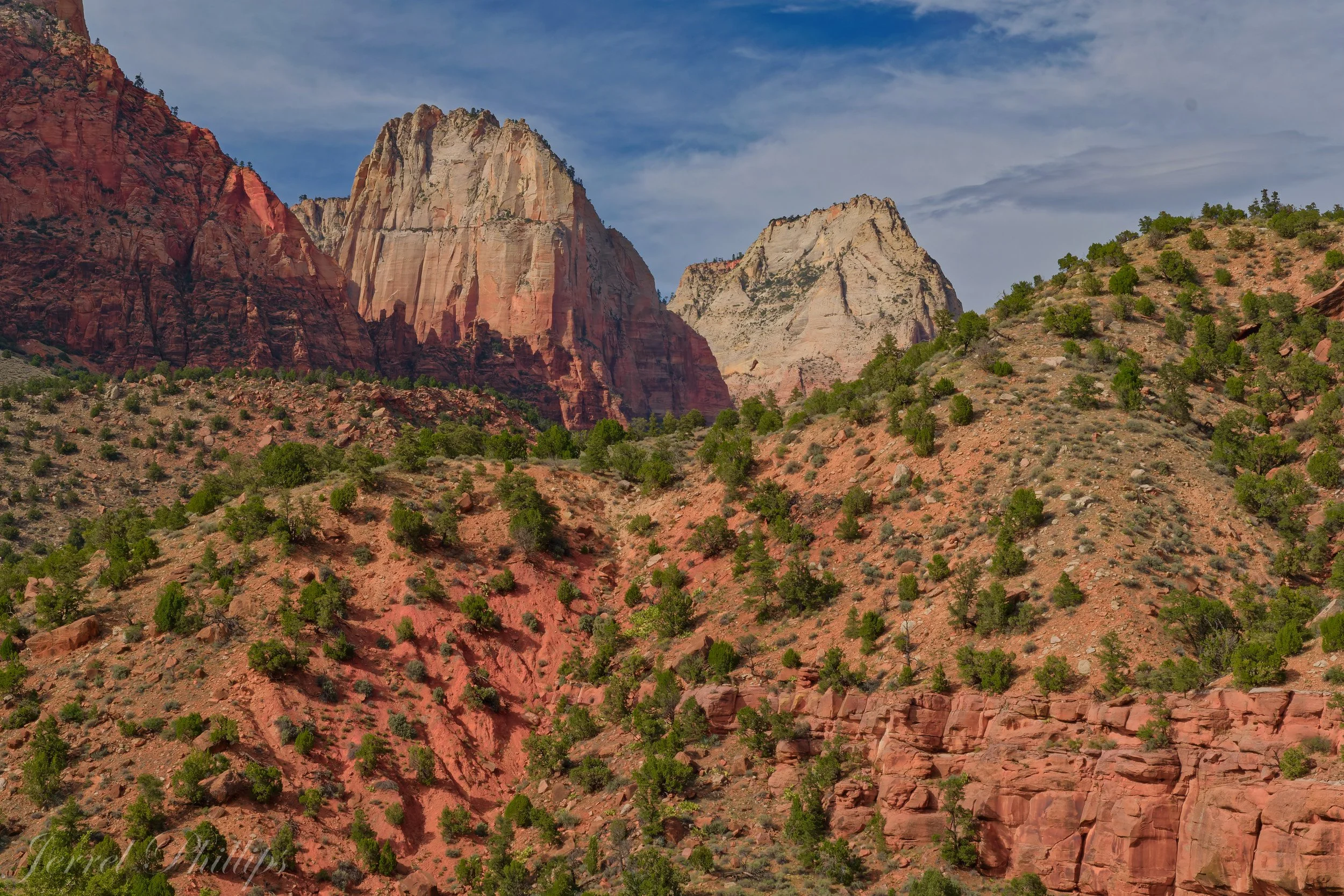 From the Canyon Overlook Trail-11