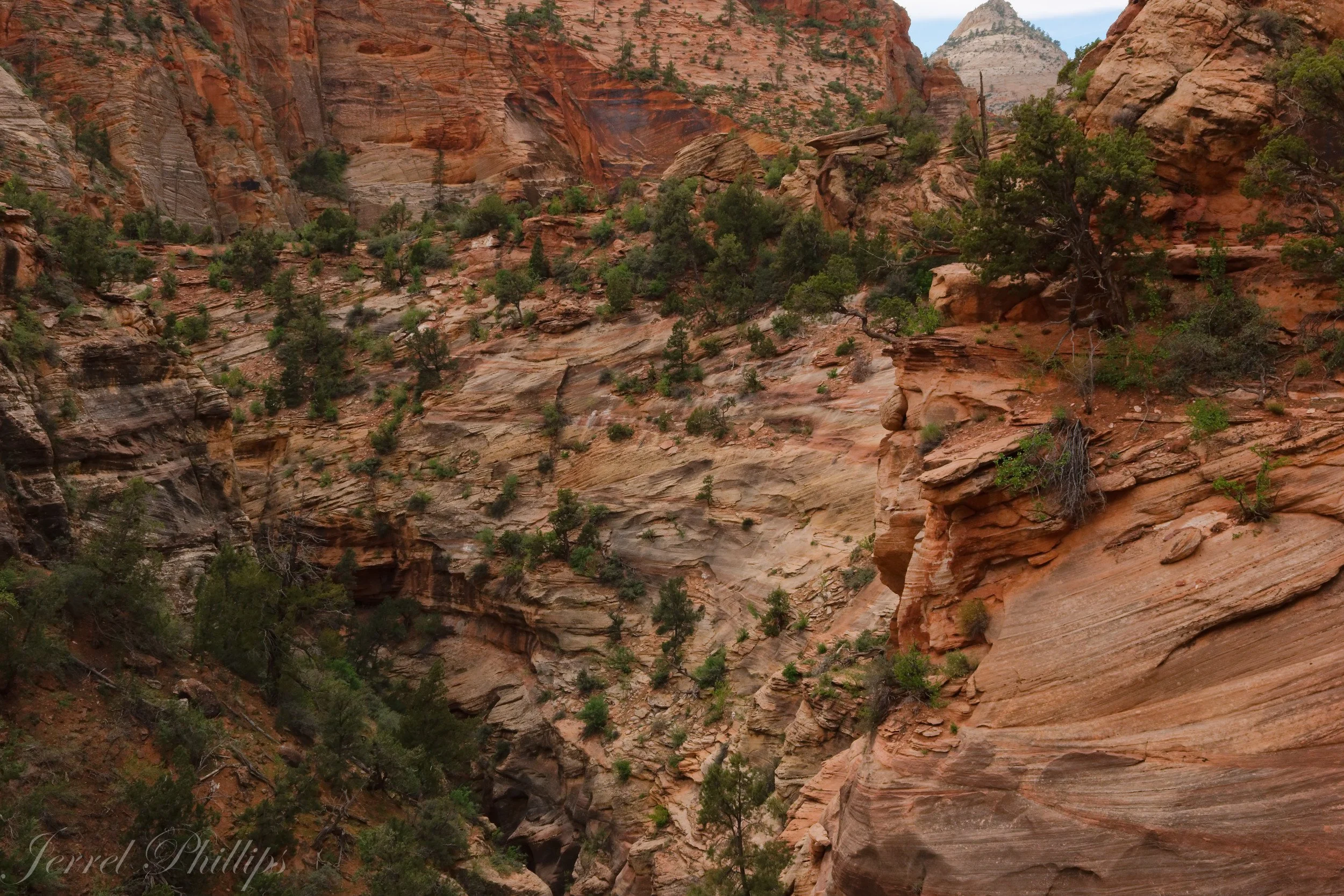 From the Canyon Overlook Trail-3