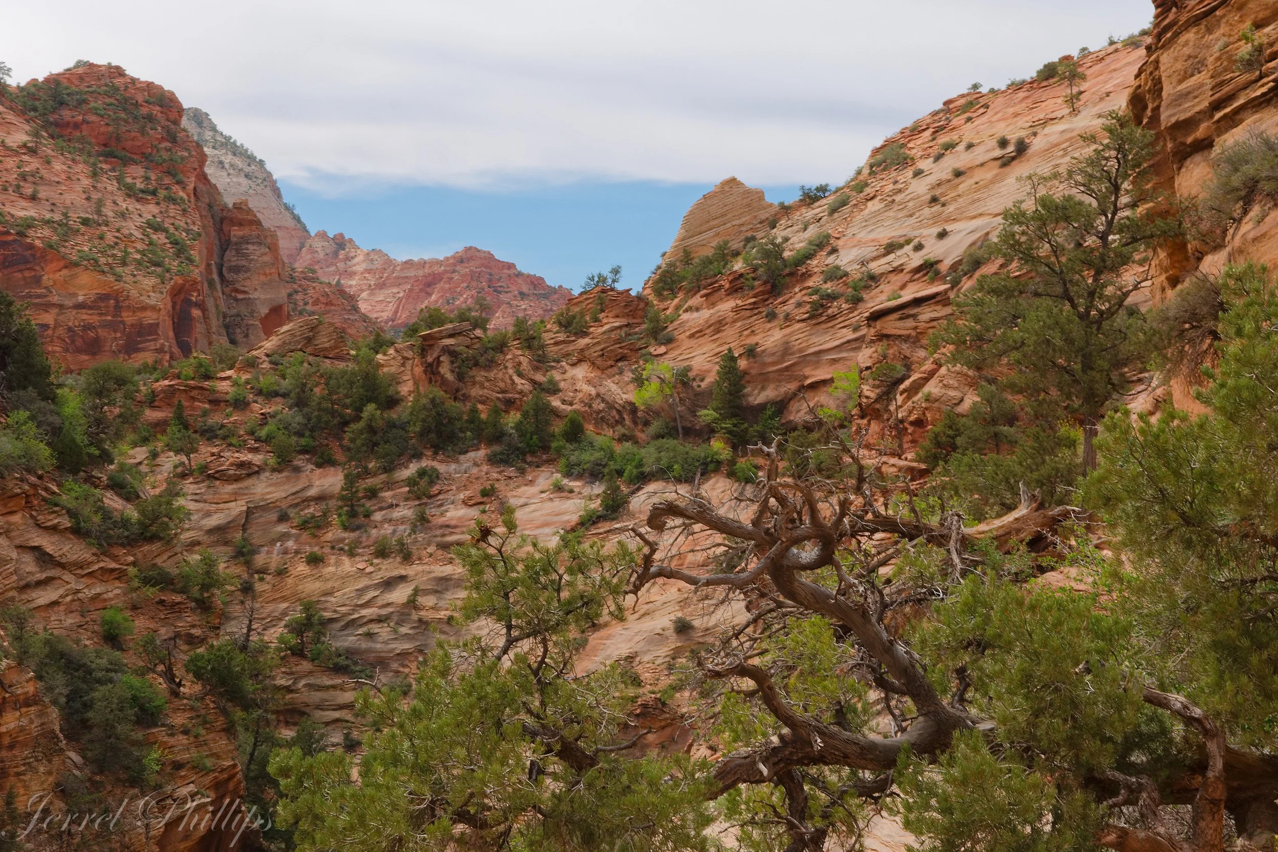 Zion National Park-4