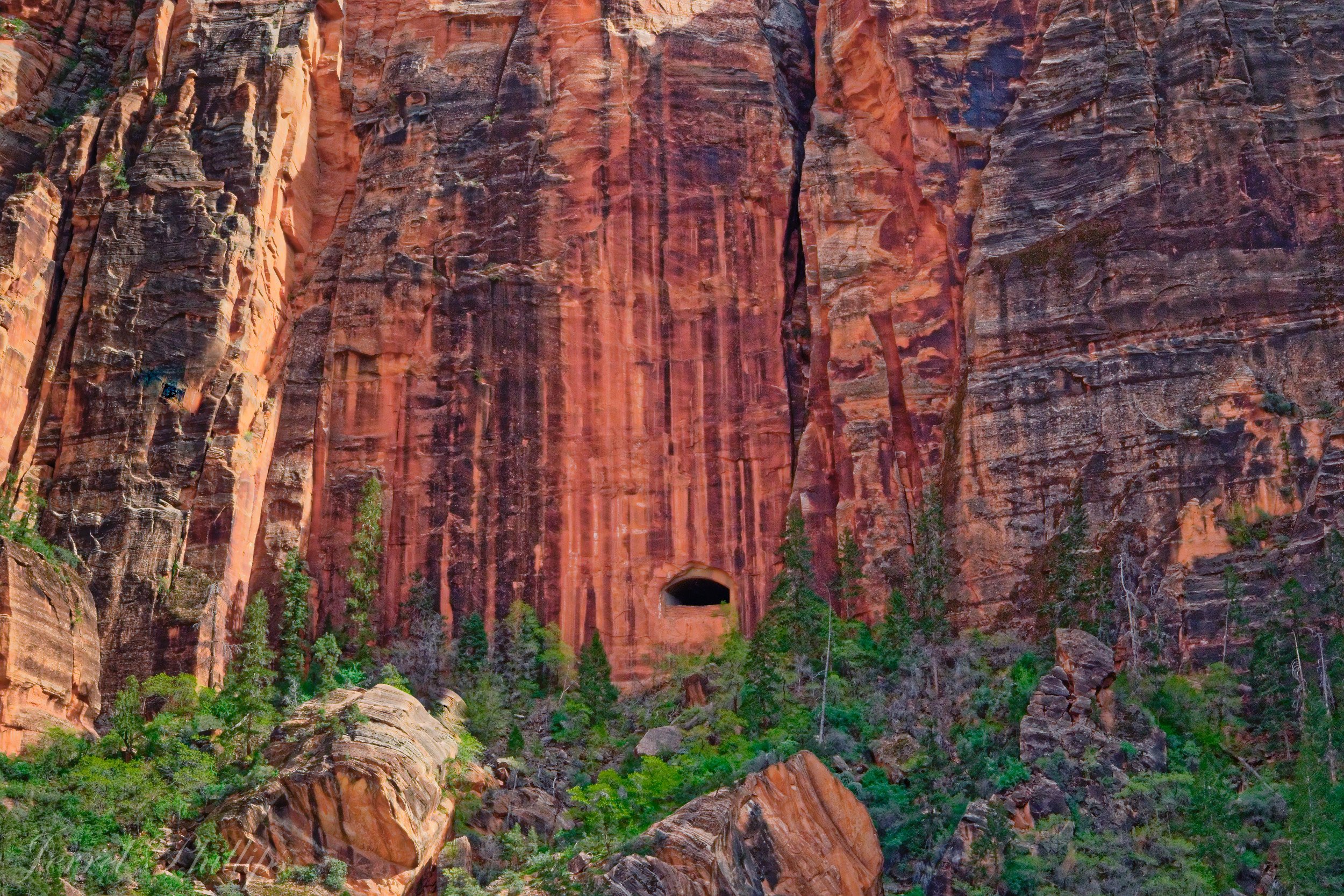 From the Canyon Overlook Trail-10