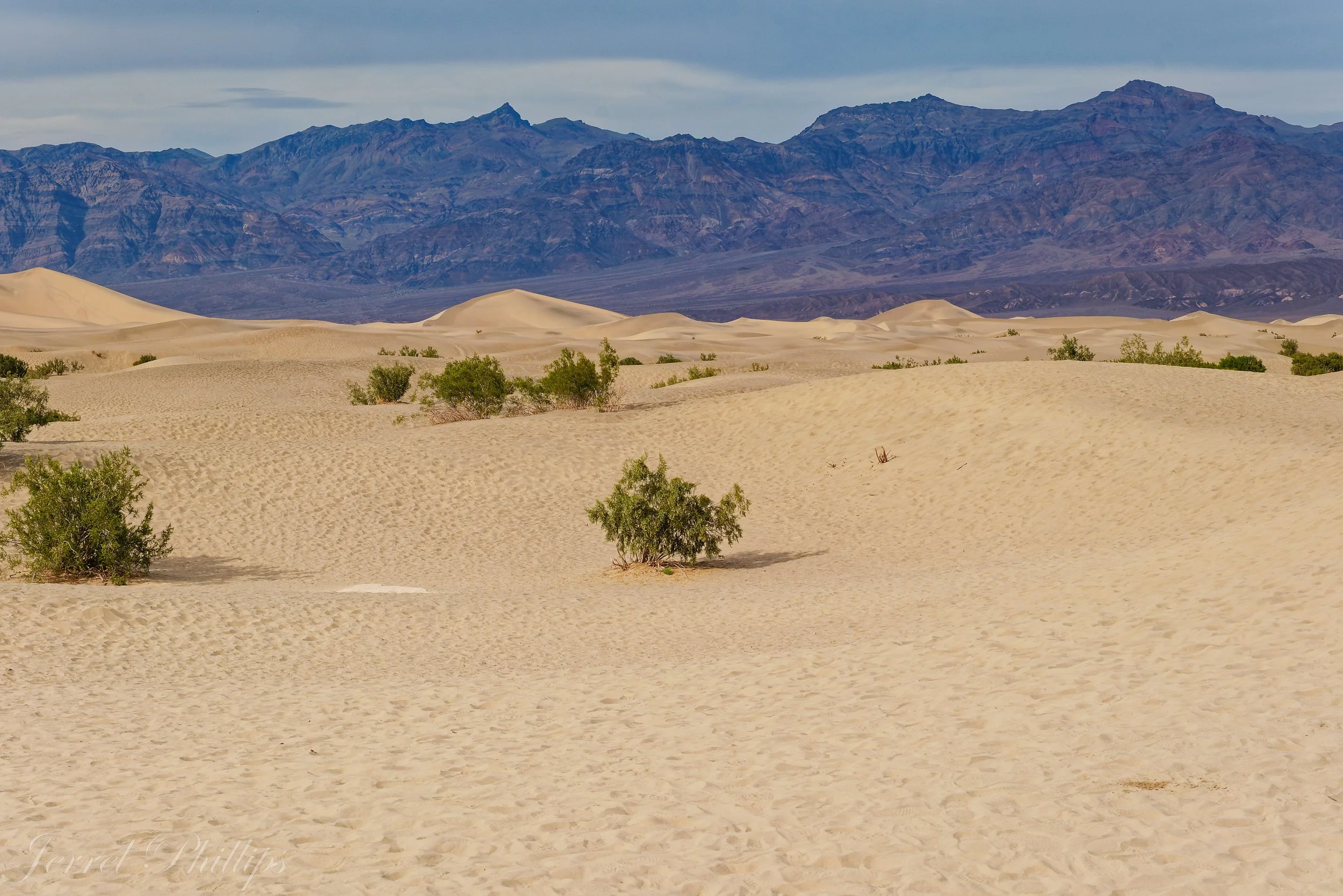 Mesquite Flat Sand Dunes--Death Valley National Park-4