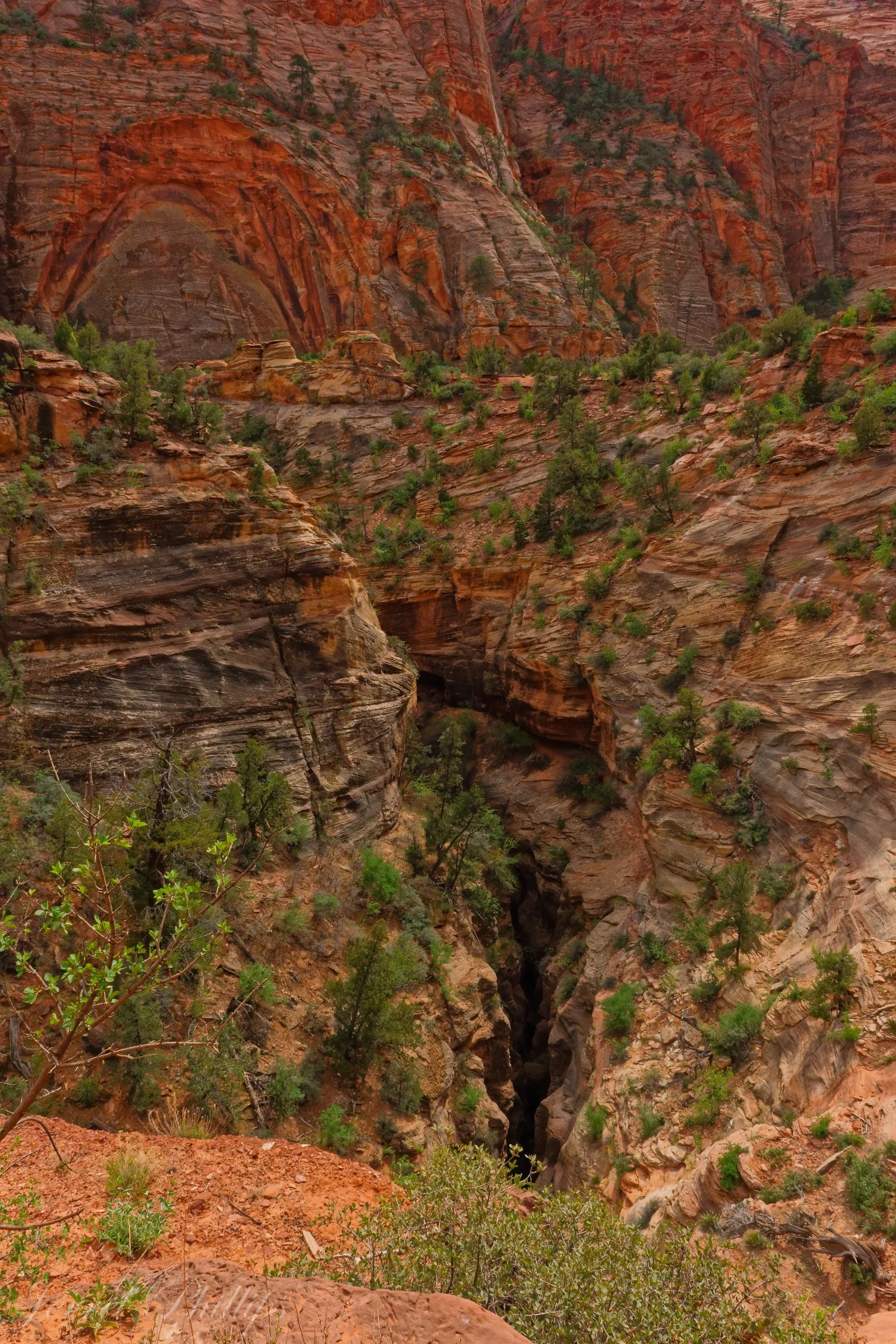 From the Canyon Overlook Trail-5