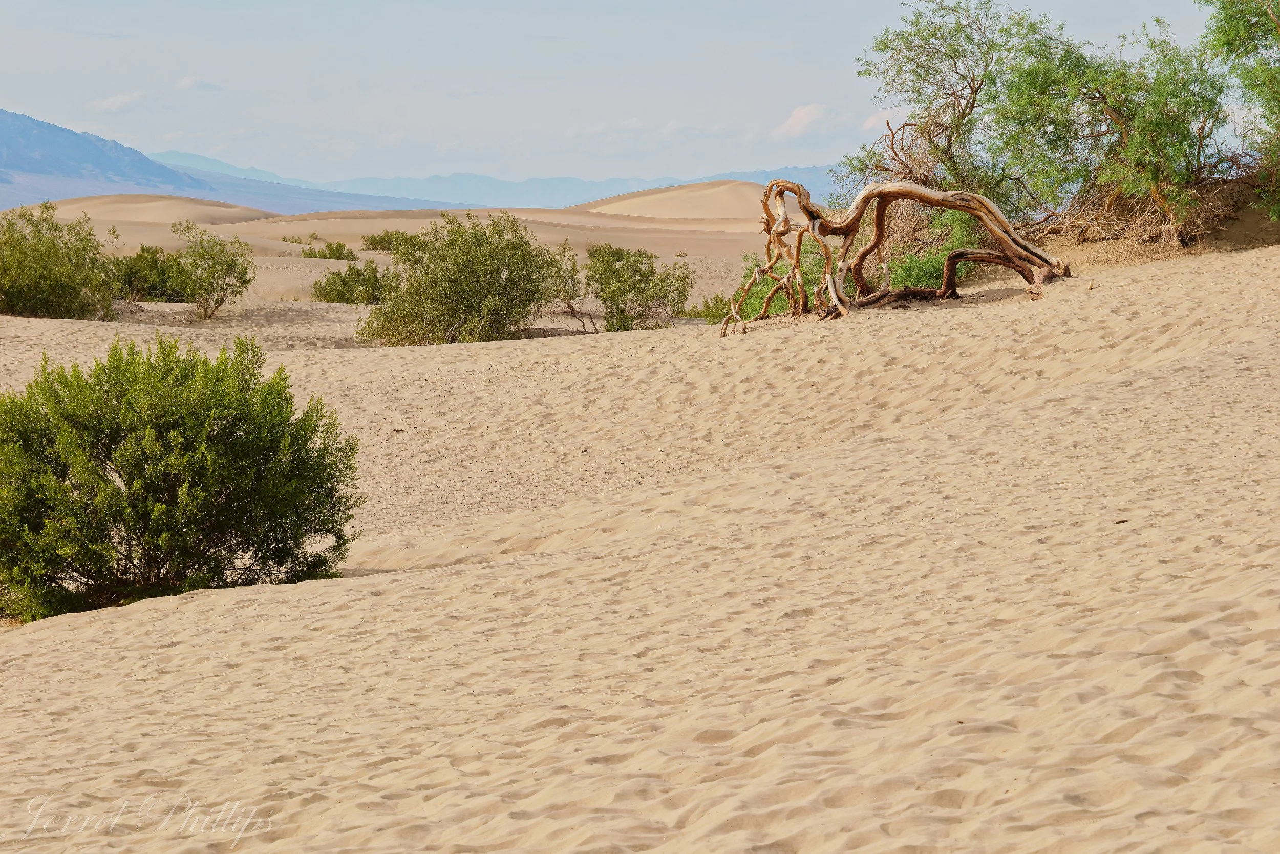 Mesquite Flat Sand Dunes--Death Valley National Park-5