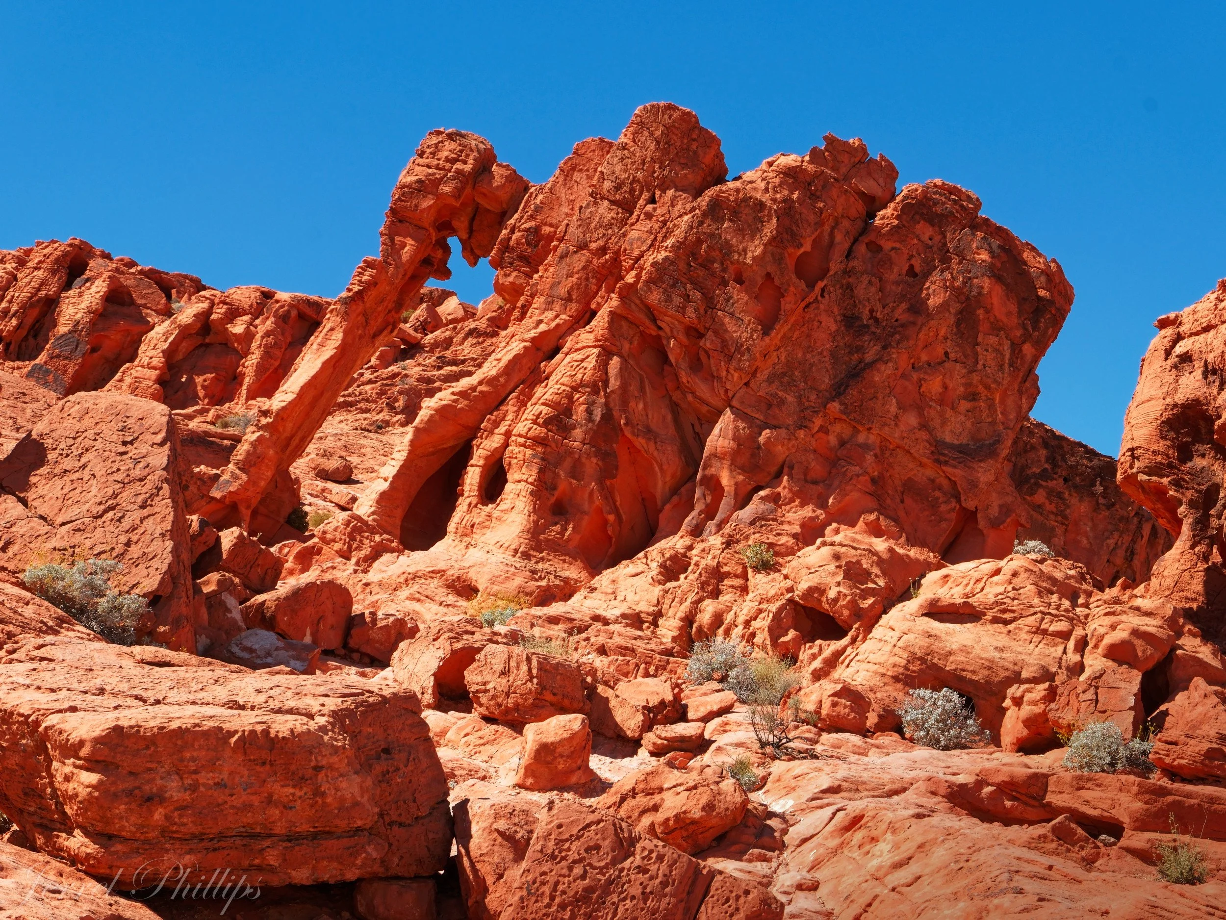 Elephant Rock in the Valley of Fire