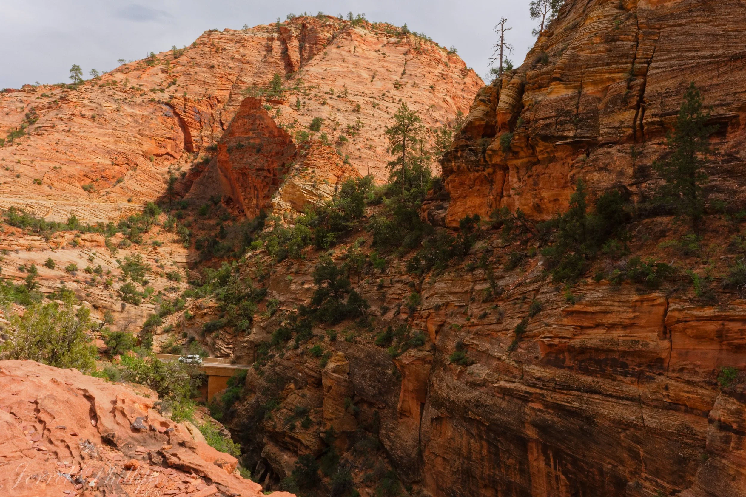 From the Canyon Overlook Trail-2