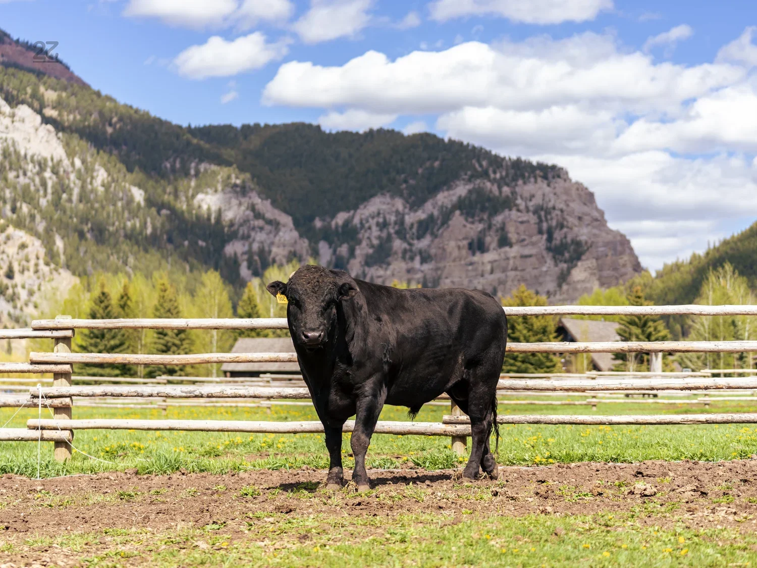 Shigeshigetani Son - 267F