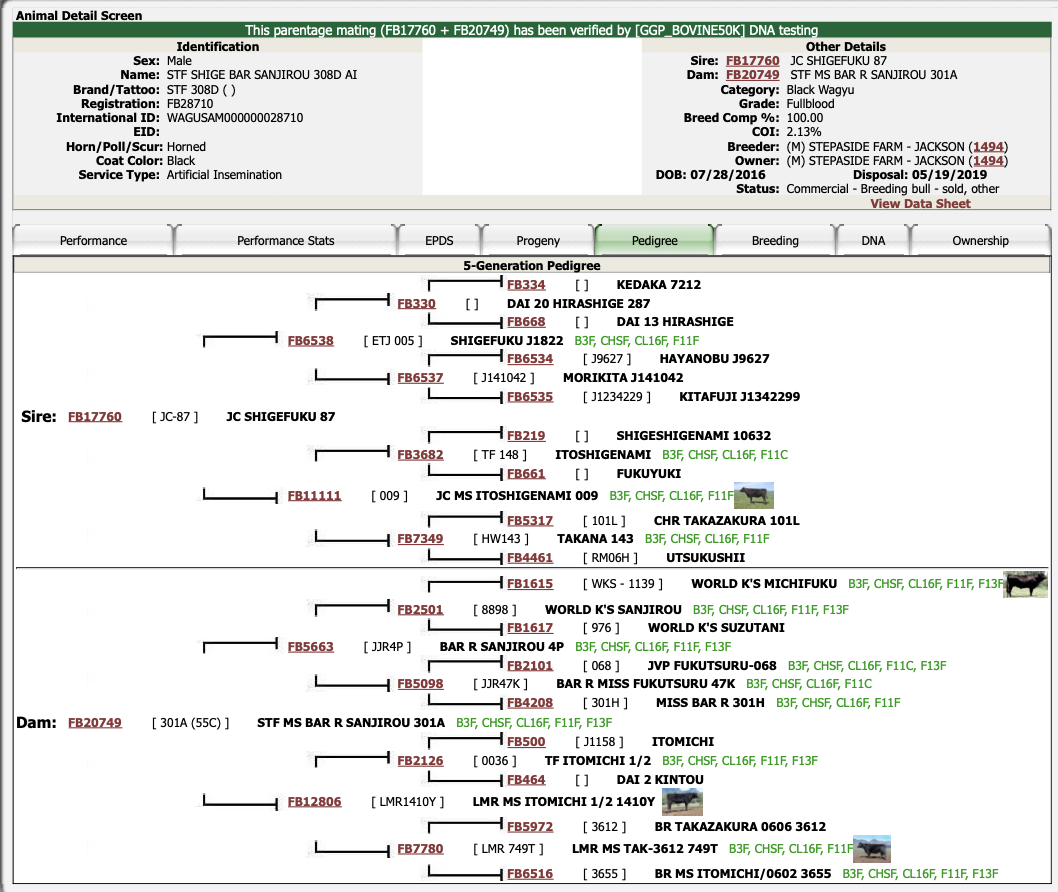 Screenshot 2026-01-07 at 12.43.40 PM.png