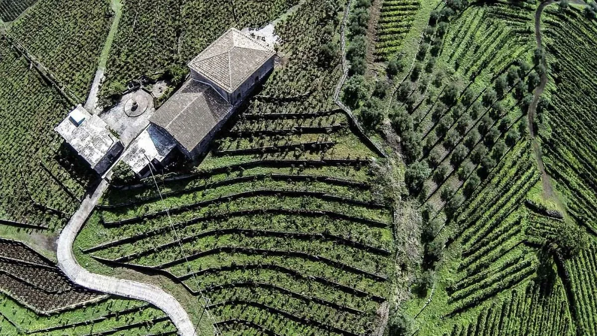 Palmento Castanzo.jpeg