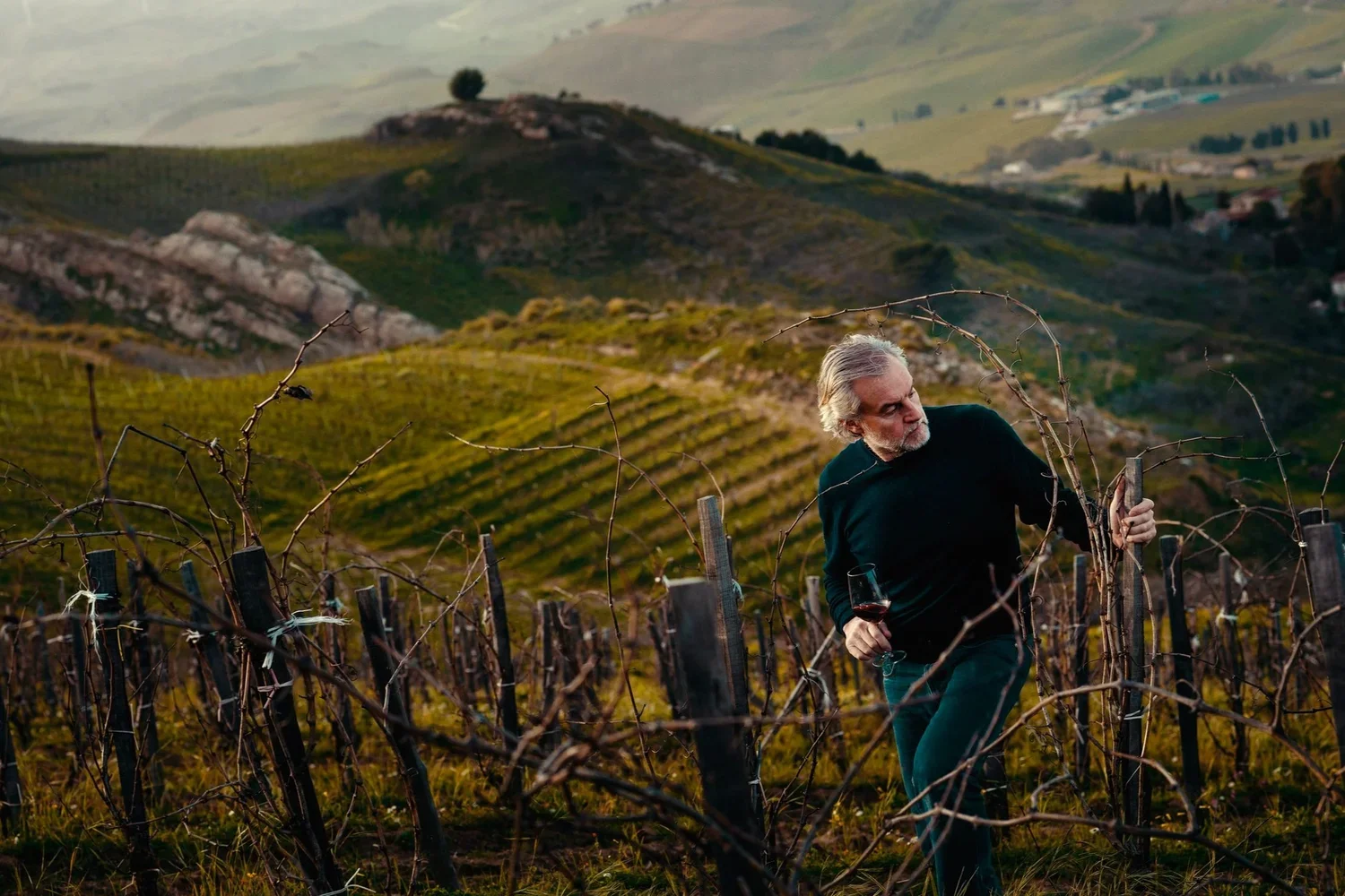 Porta+del+Vento+Marco+Sferlazzo+5+Vineyards.jpg.webp