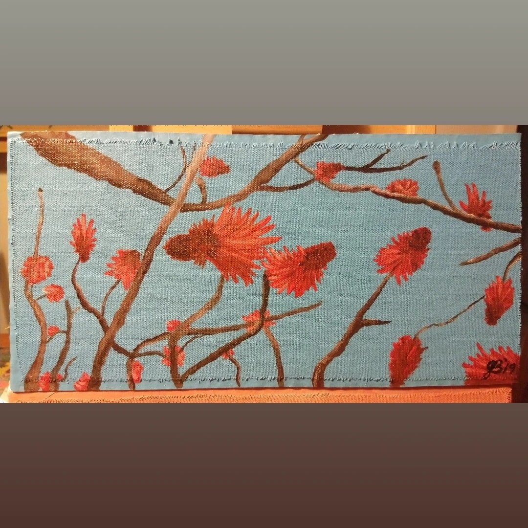Common Coral Tree.jpg