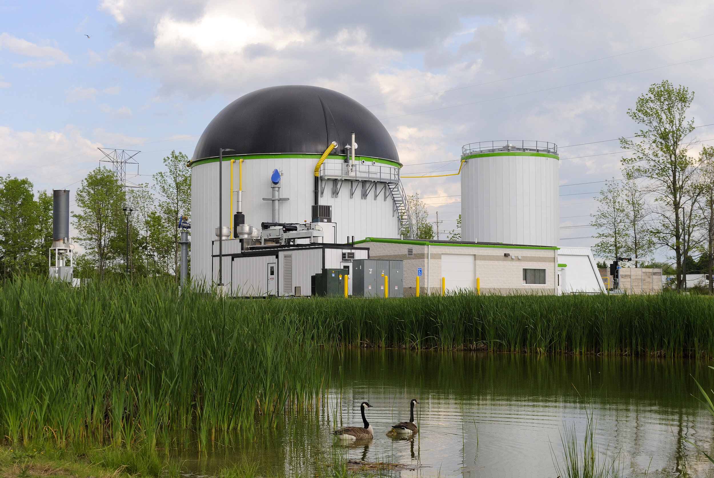 Buffalo Regional Digester Launches a New Website 