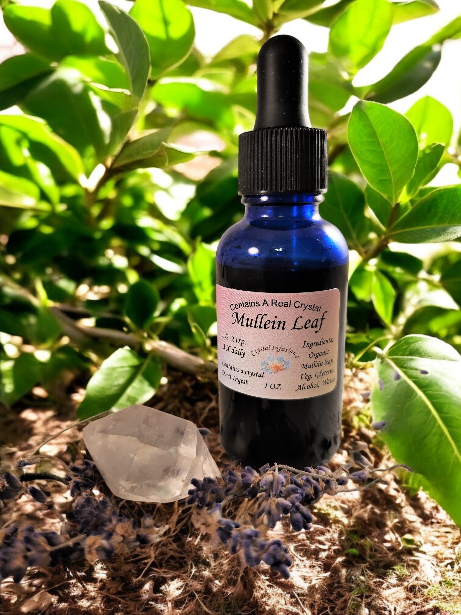 MULLEIN Tincture-One of best overall supportive herbs for Lung & Breath Support.