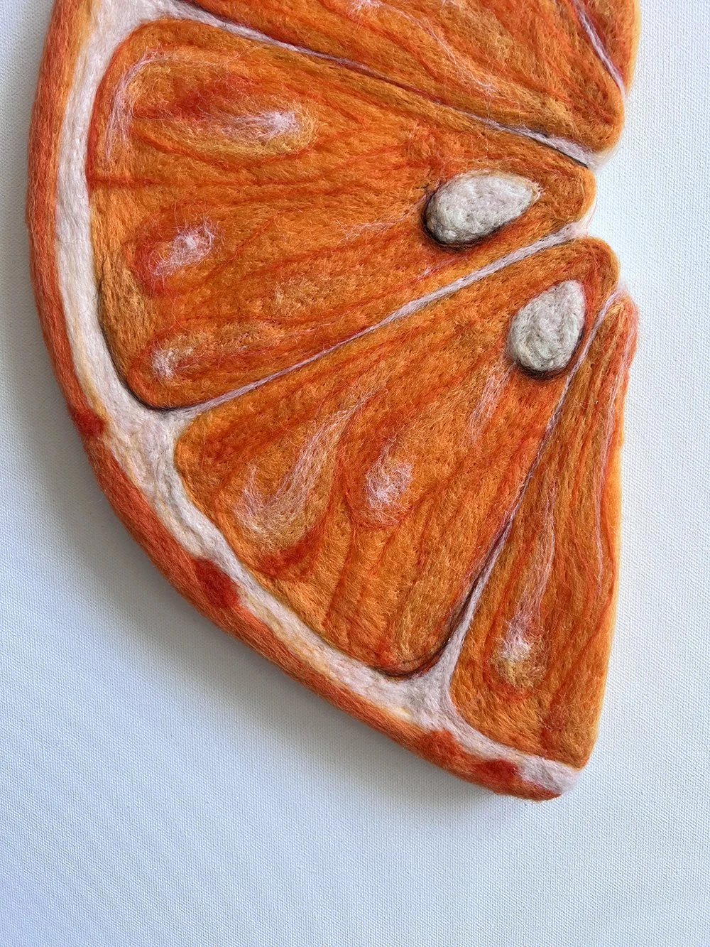 randall orange slice close up.jpg