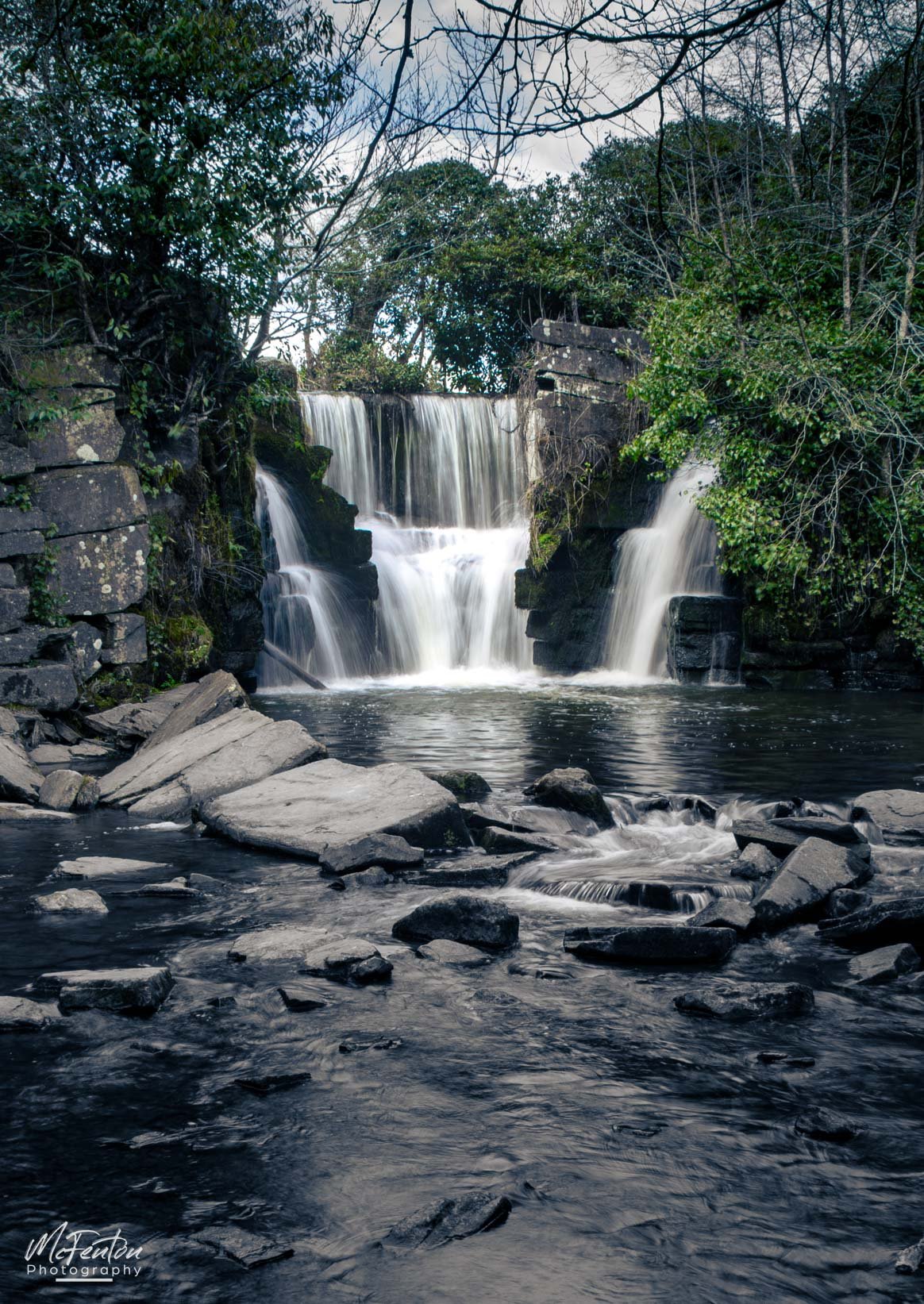 473A9802-Enhanced-NR.jpg