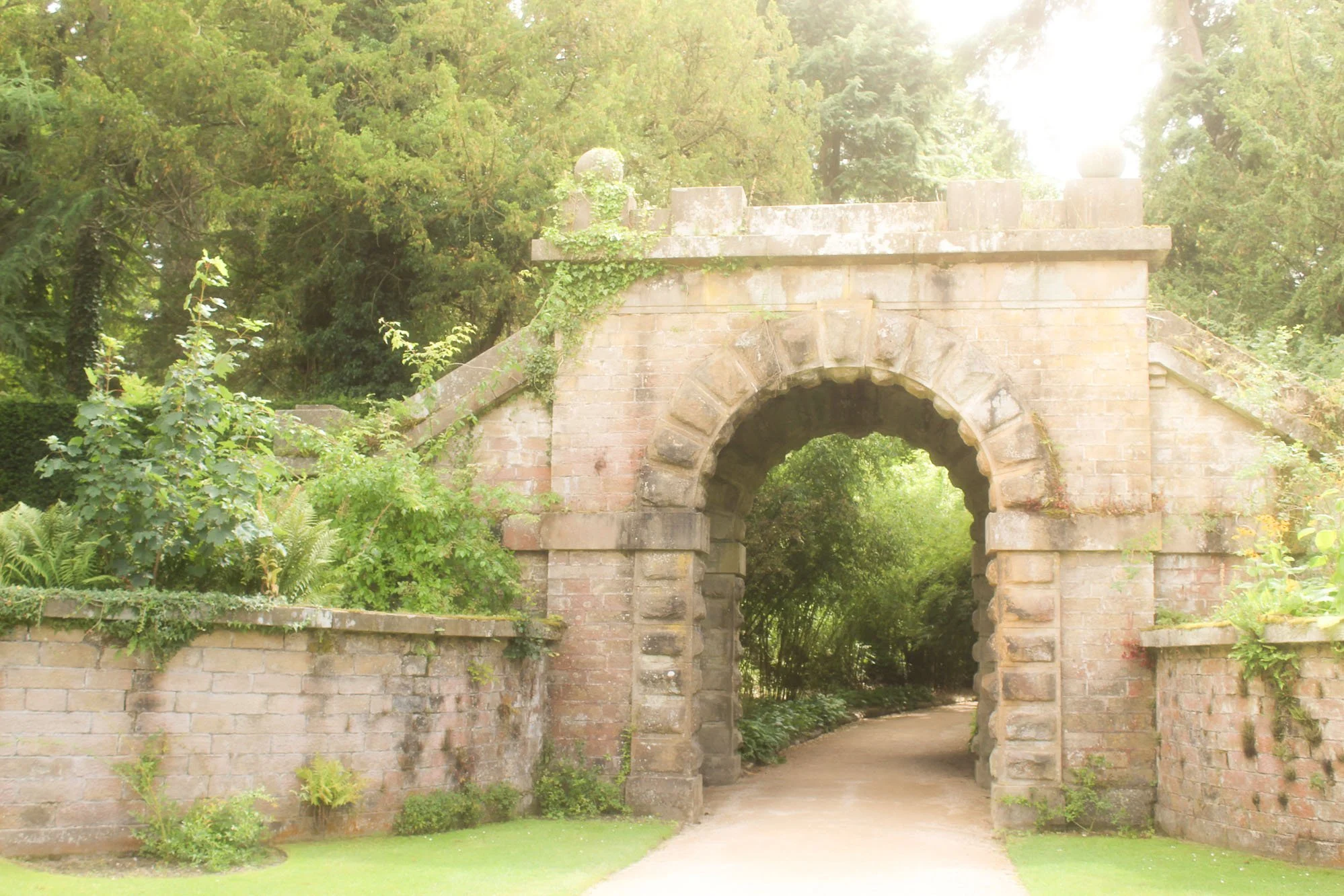 IMG_0092 cropped.jpg