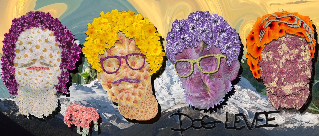 Dog Levee Spotify Banner