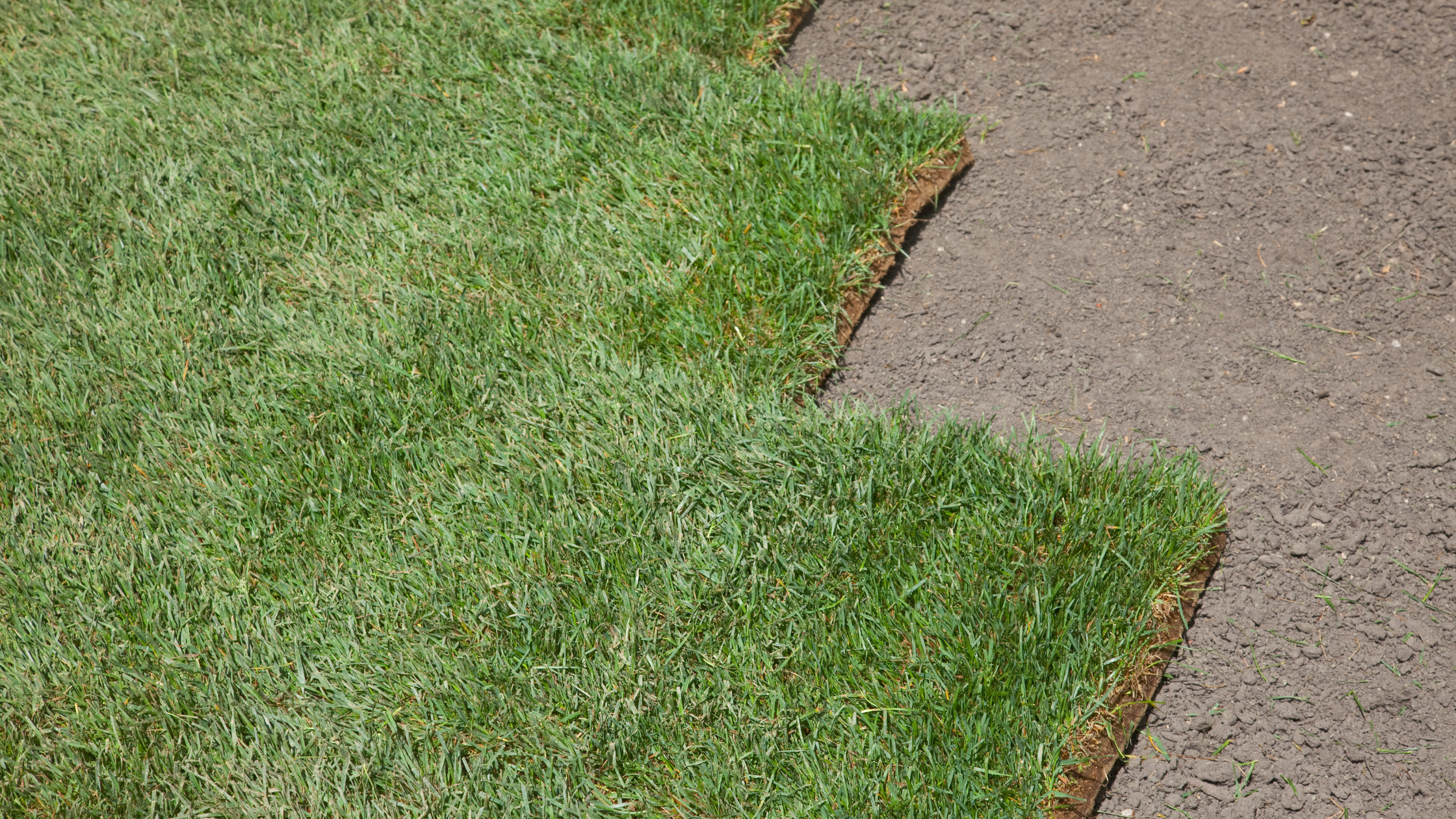 Sod Installation Services in Overland Park