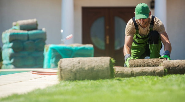 What Should I Look for When Researching Sod Installation Services in Overland Park?