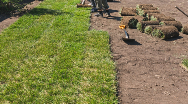 Installing Sod in Overland Park Has Never Been Easier – Why You Should Check Out the City’s Top Lawn Care and Maintenance Company