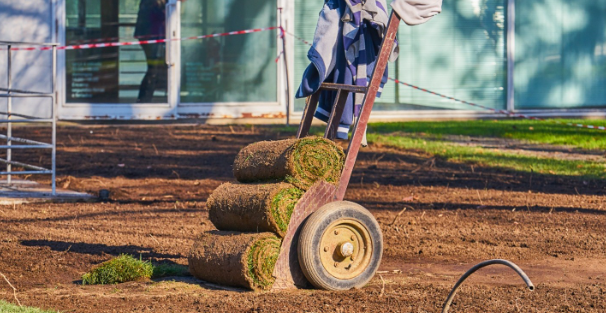 Sod Replacement in Overland Park Takes Longer if You DIY It – Here’s 5 Benefits of Relying on Professionals