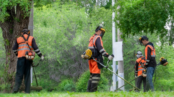 Lawn Care Isn’t Something You Want to Worry About as a Business Owner – Here’s How Commercial Lawn Care Services in Overland Park Can Help