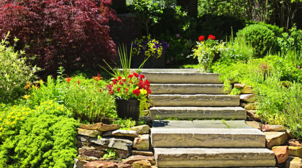 What Should a New Lawn Really Cost This Year?
