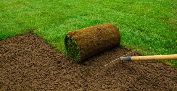 How to Choose a Sod Installation Company in Olathe