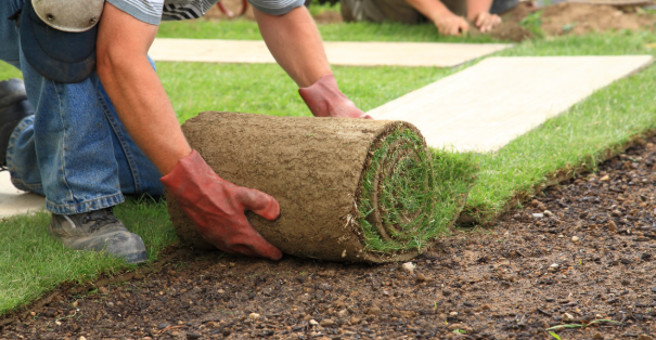 How Much Does Sod Installation Cost in Overland Park?