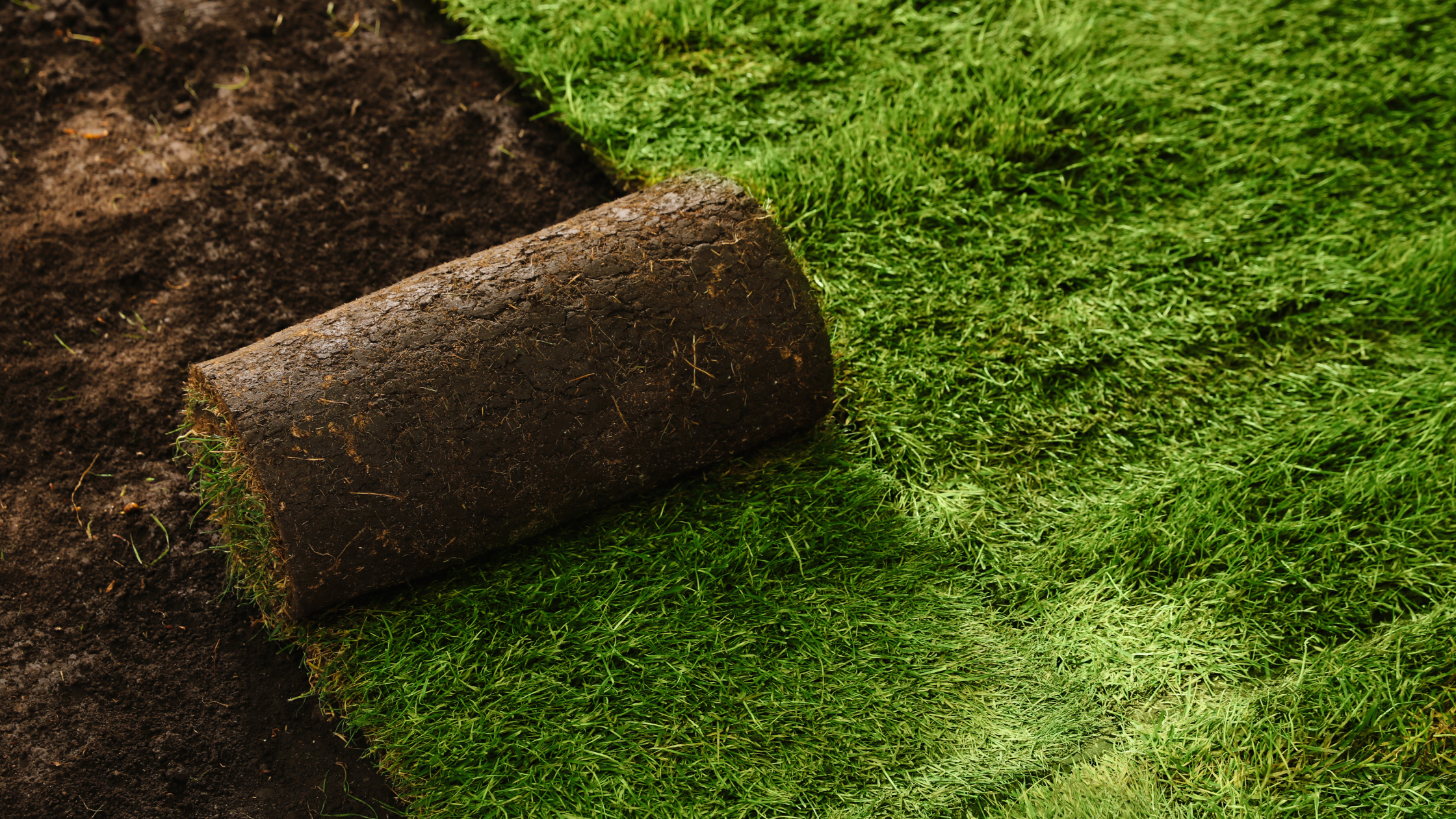How Much Does Sod Installation Cost in Olathe?