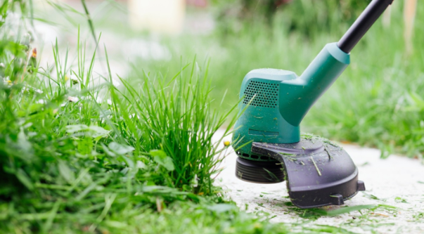 Commercial Lawn Care Maintenance Company in Overland Park
